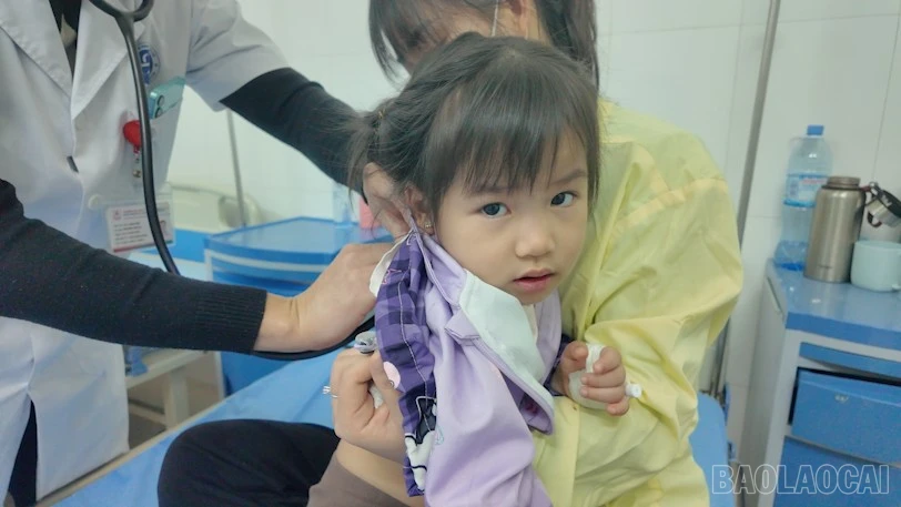 baolaocai-br_2025-12-22-084704.png