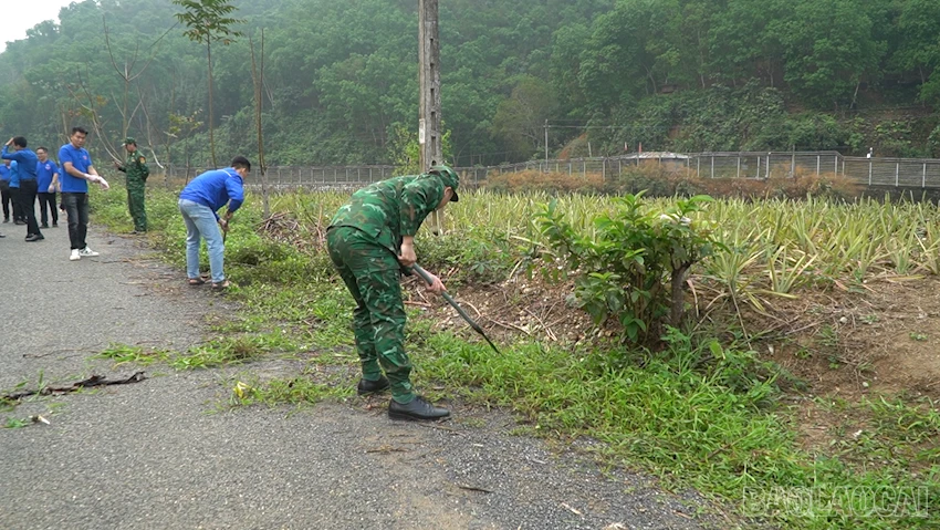 baolaocai-br_2026-03-18-150220.png