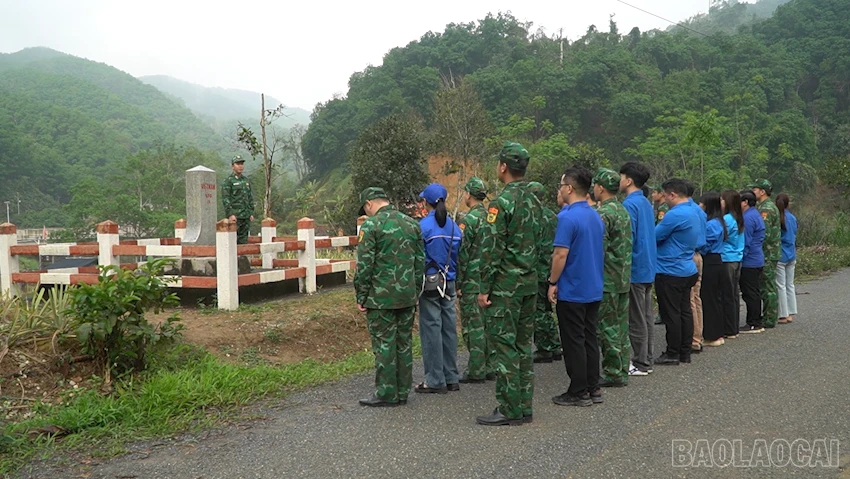 baolaocai-br_2026-03-18-150452.png