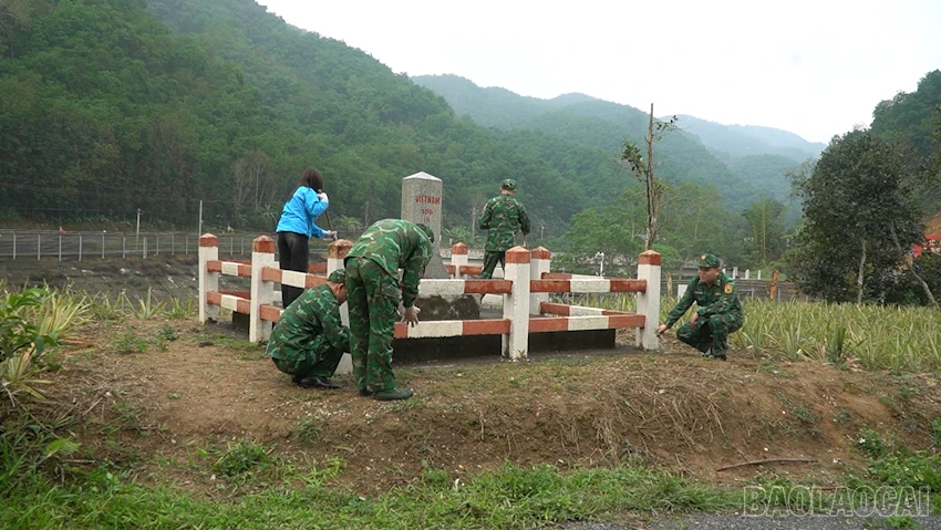 baolaocai-br_2026-03-18-150203.png
