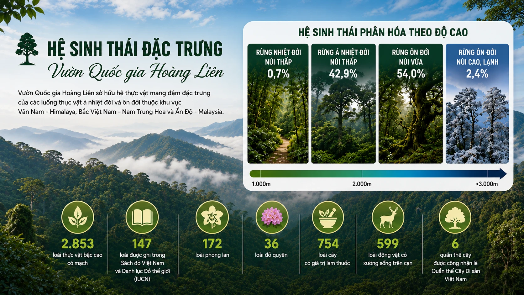 chatgpt-image-10-43-27-23-thg-7-2026.png