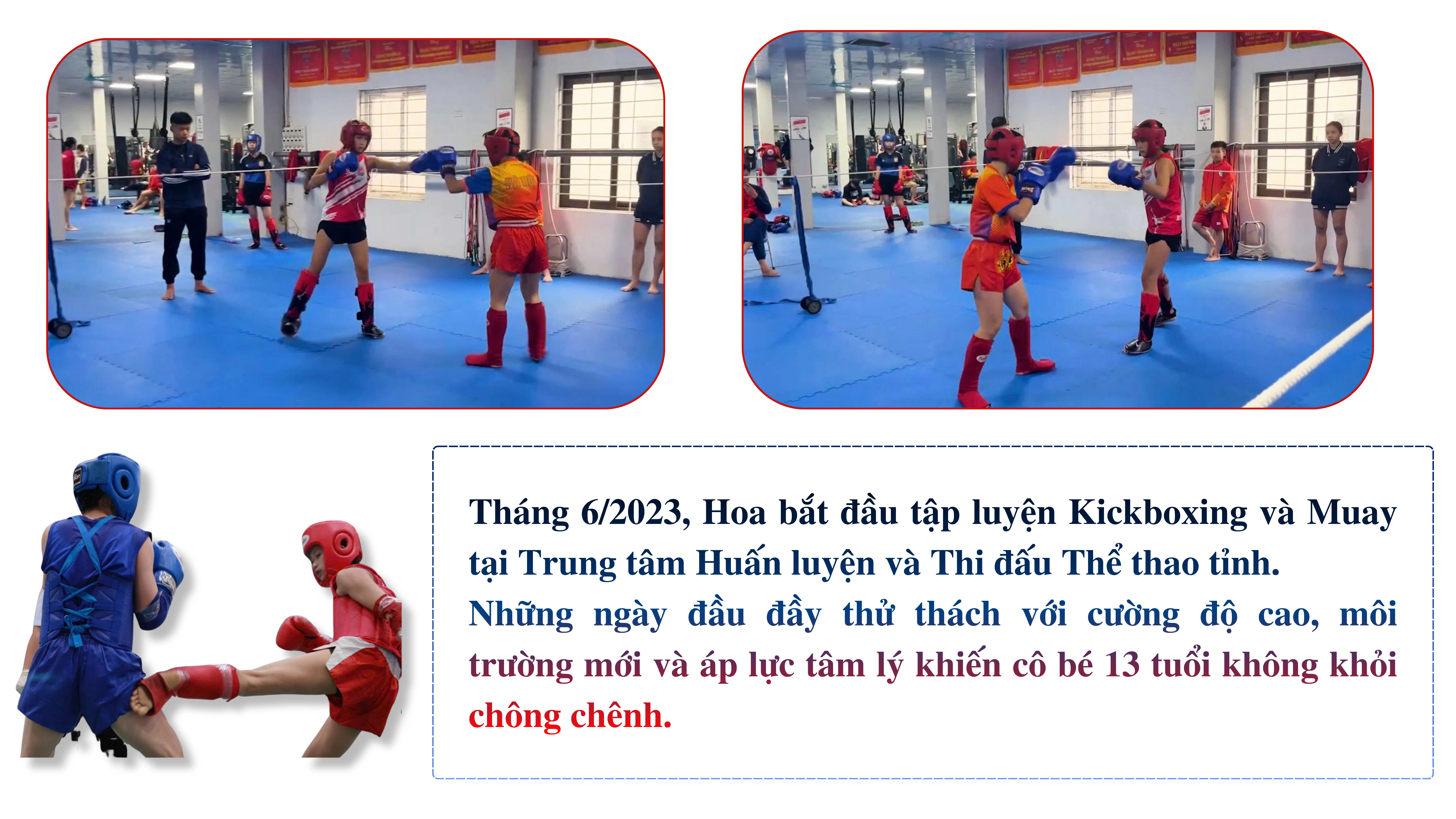 phan-ngoc-hoa-4.png