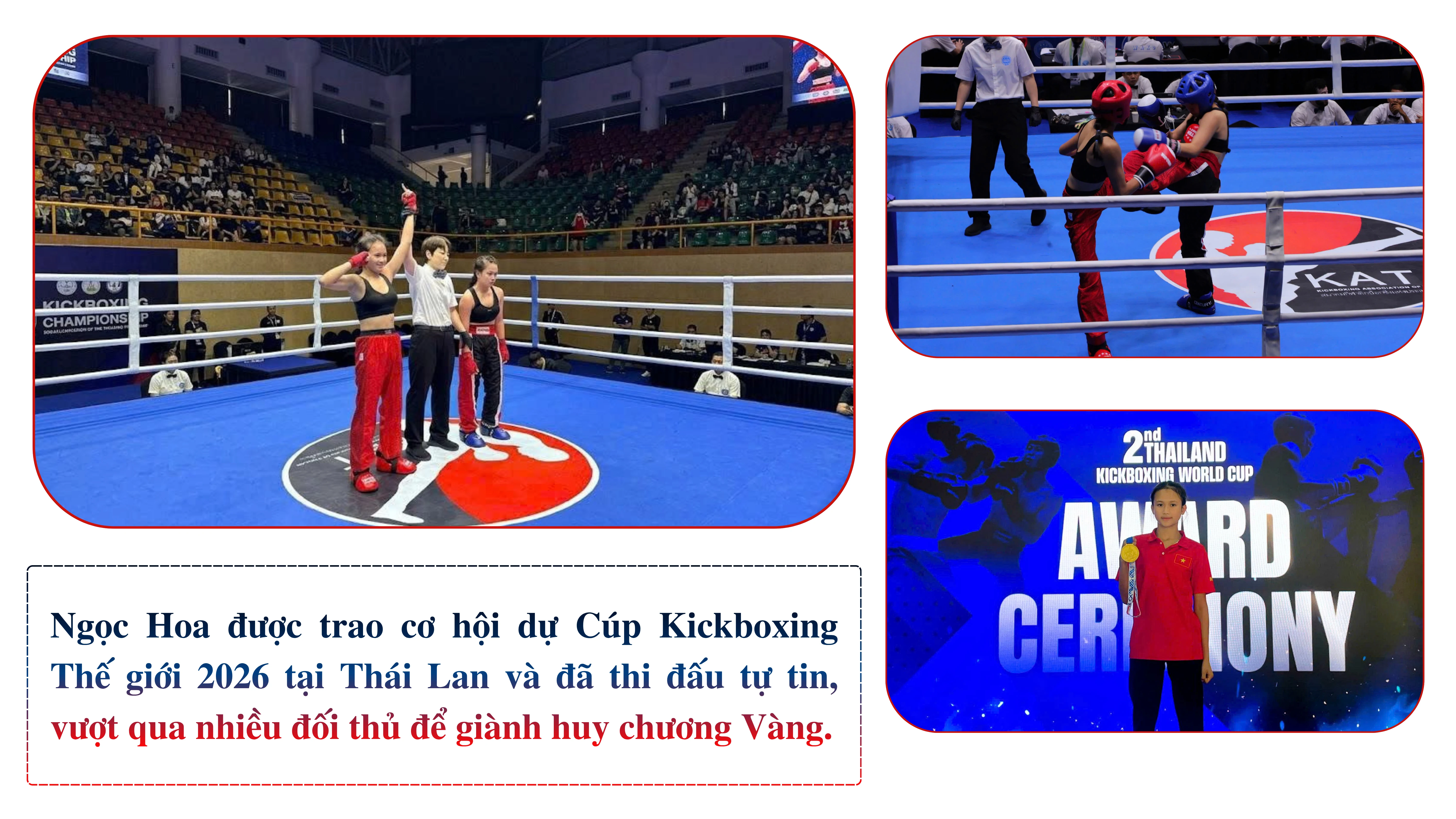 phan-ngoc-hoa-7.png