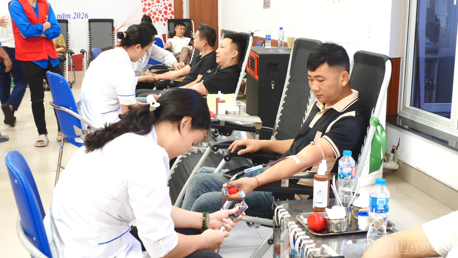 baolaocai-br_2026-03-30-130550.png