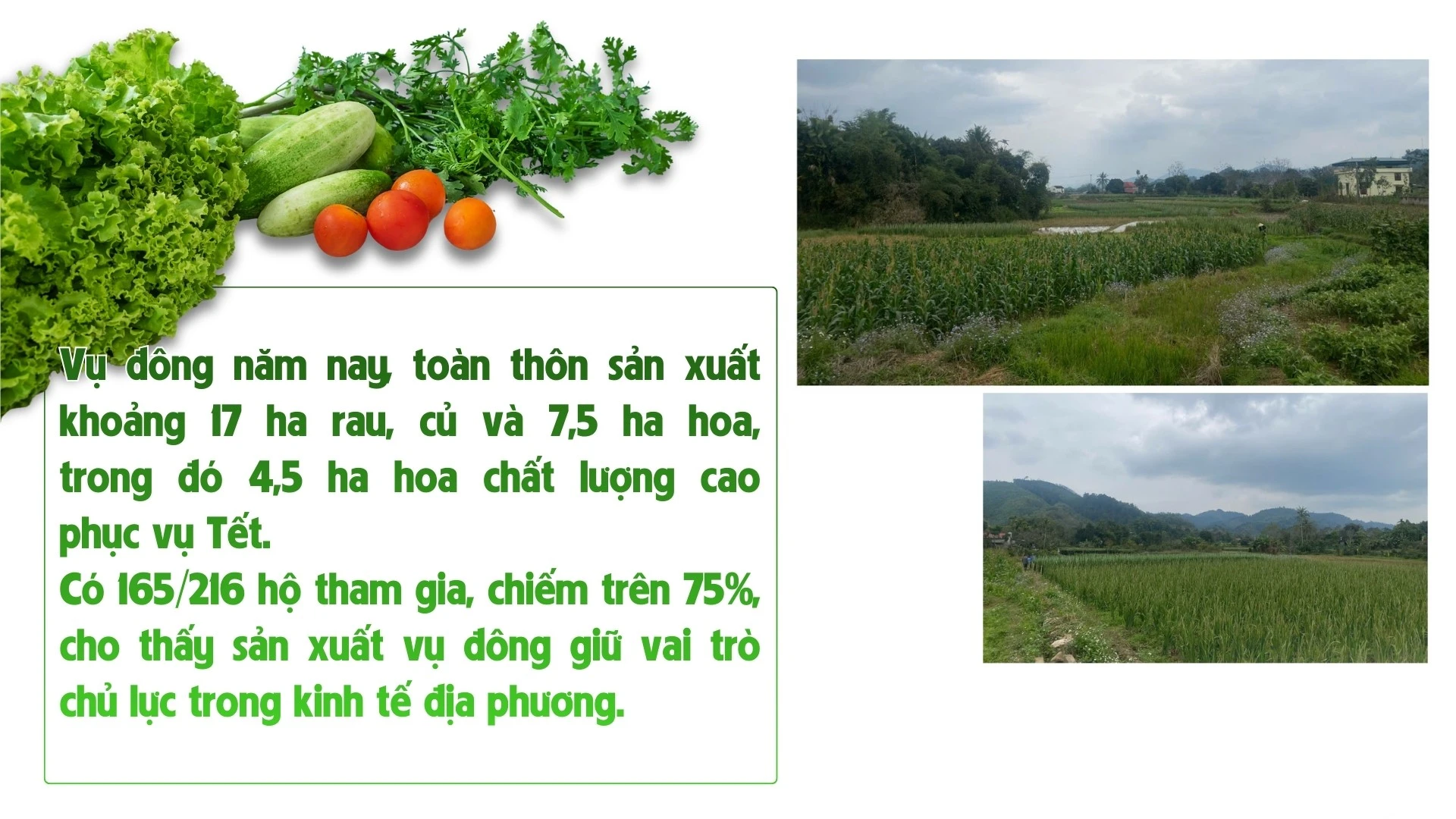nhung-bai-boi-cho-25.jpg