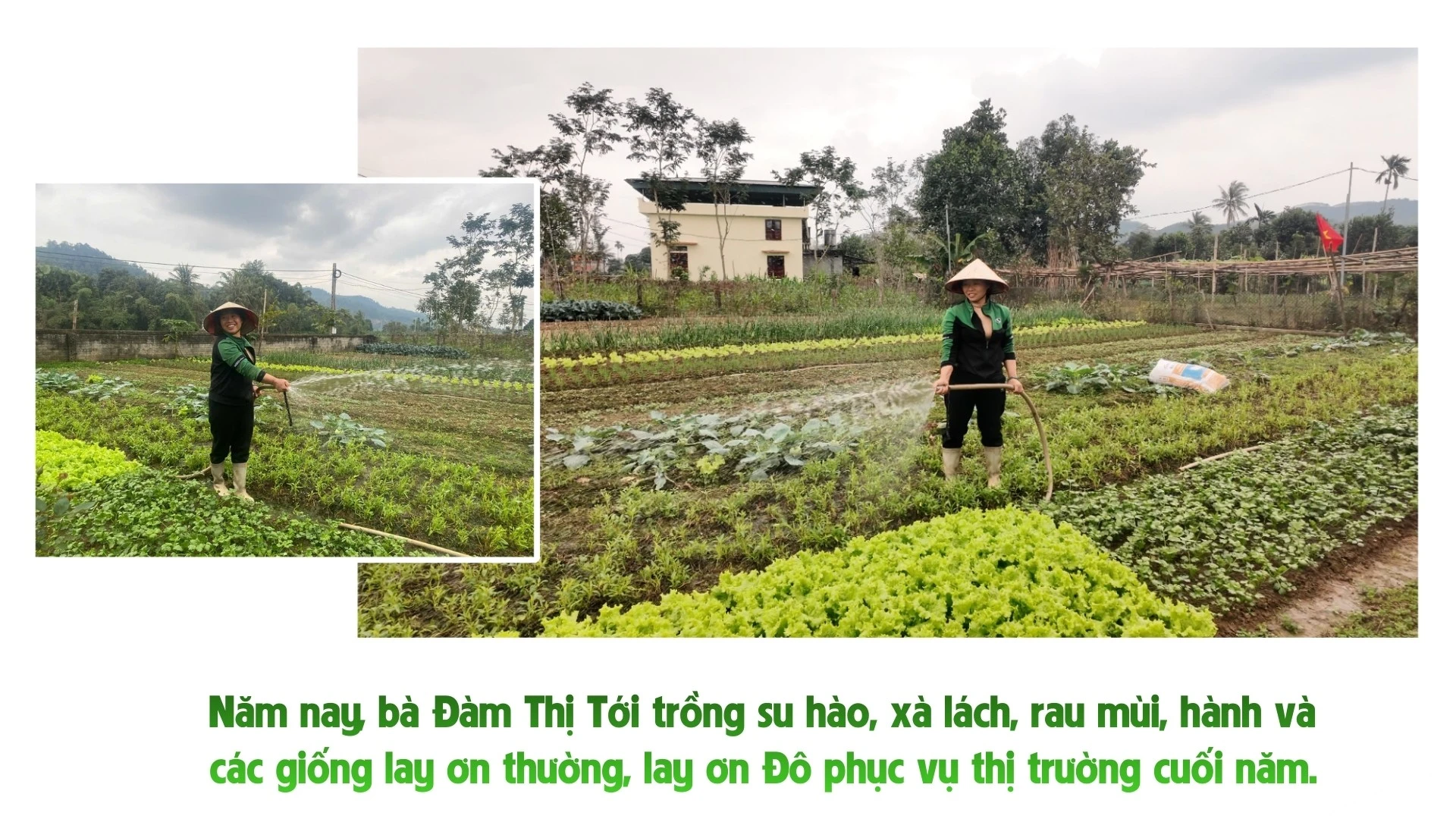 nhung-bai-boi-cho-24.jpg
