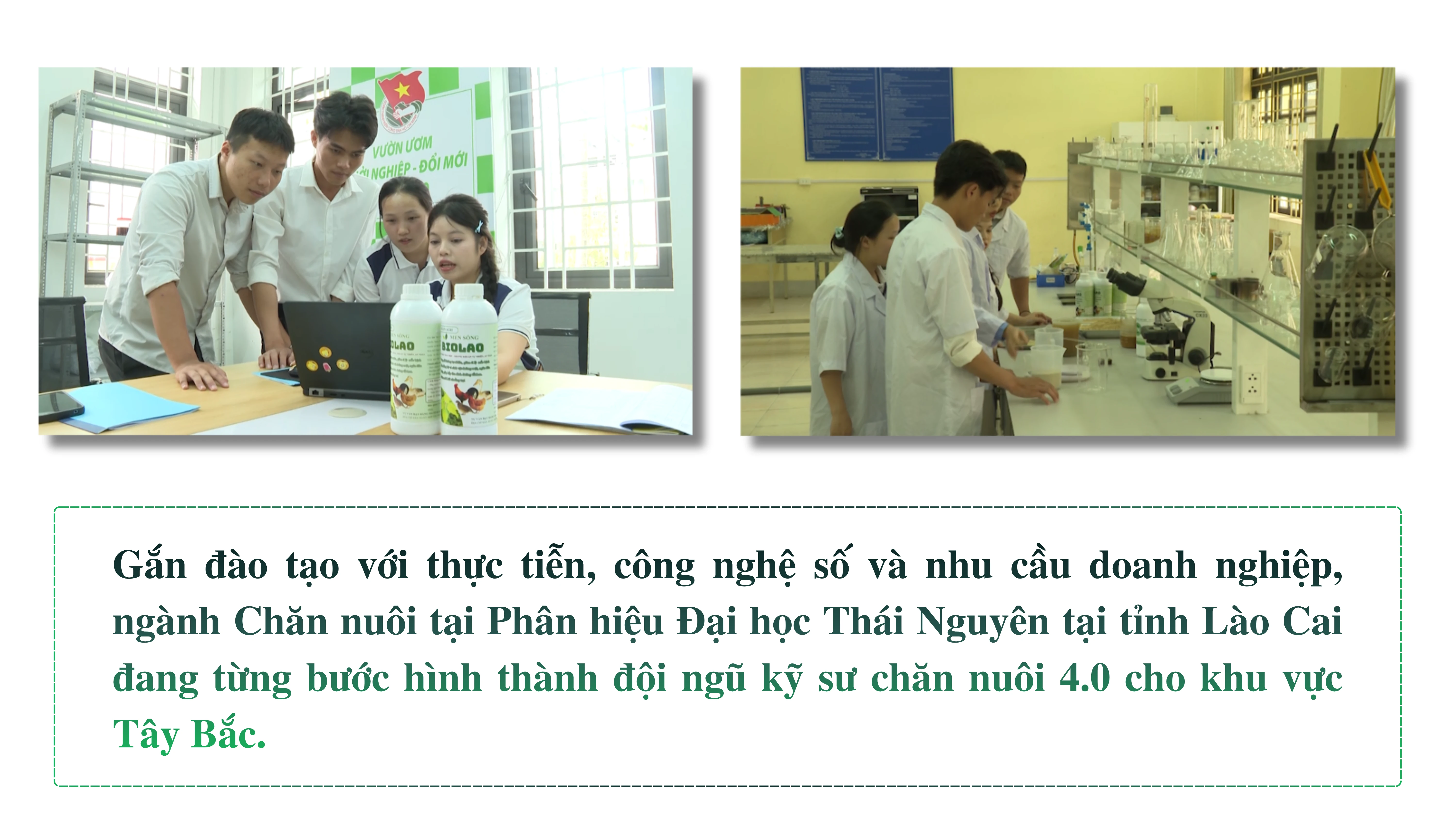 ky-sy-tren-lung-ngua-5.png