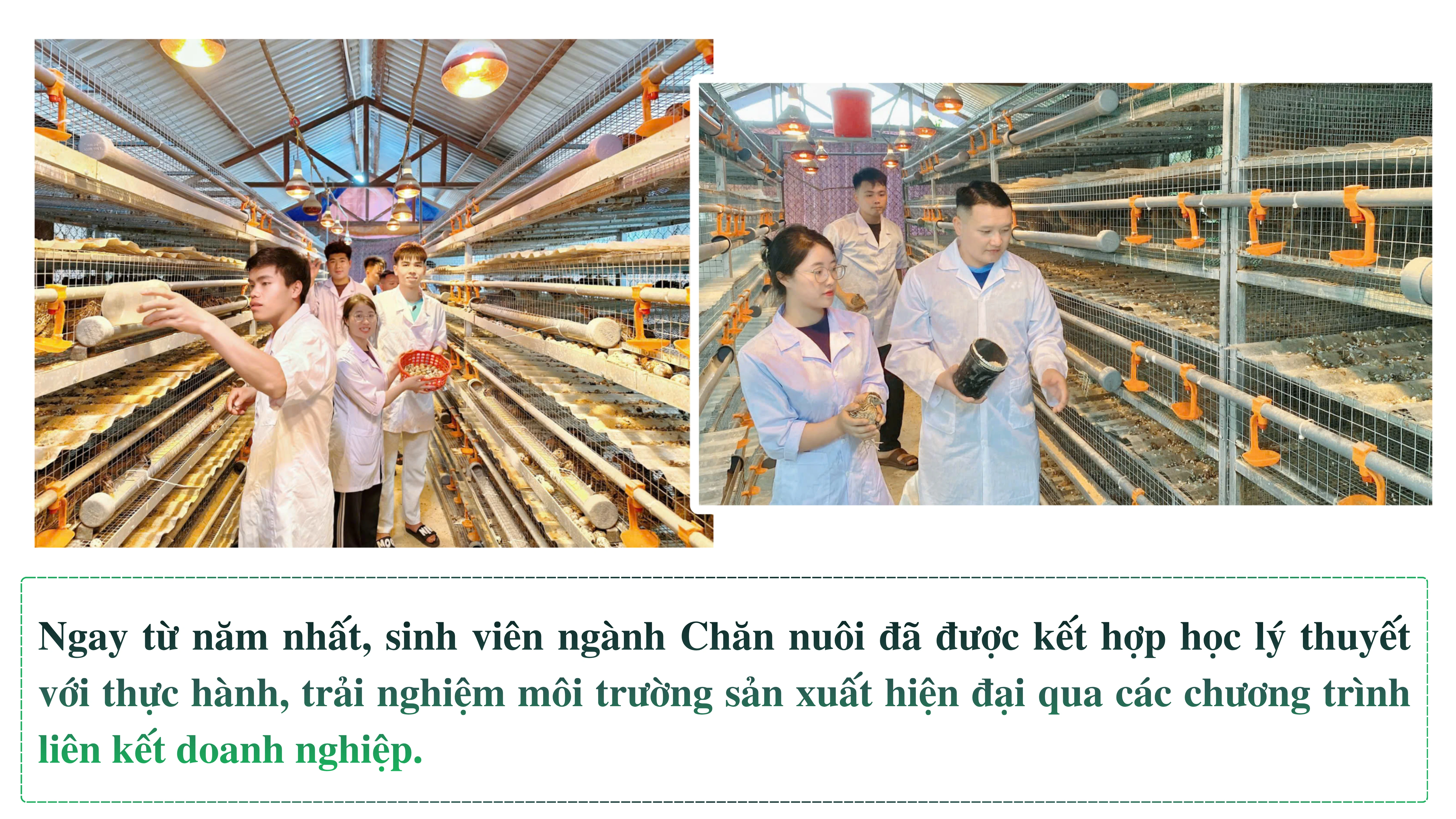 ky-sy-tren-lung-ngua-3.png