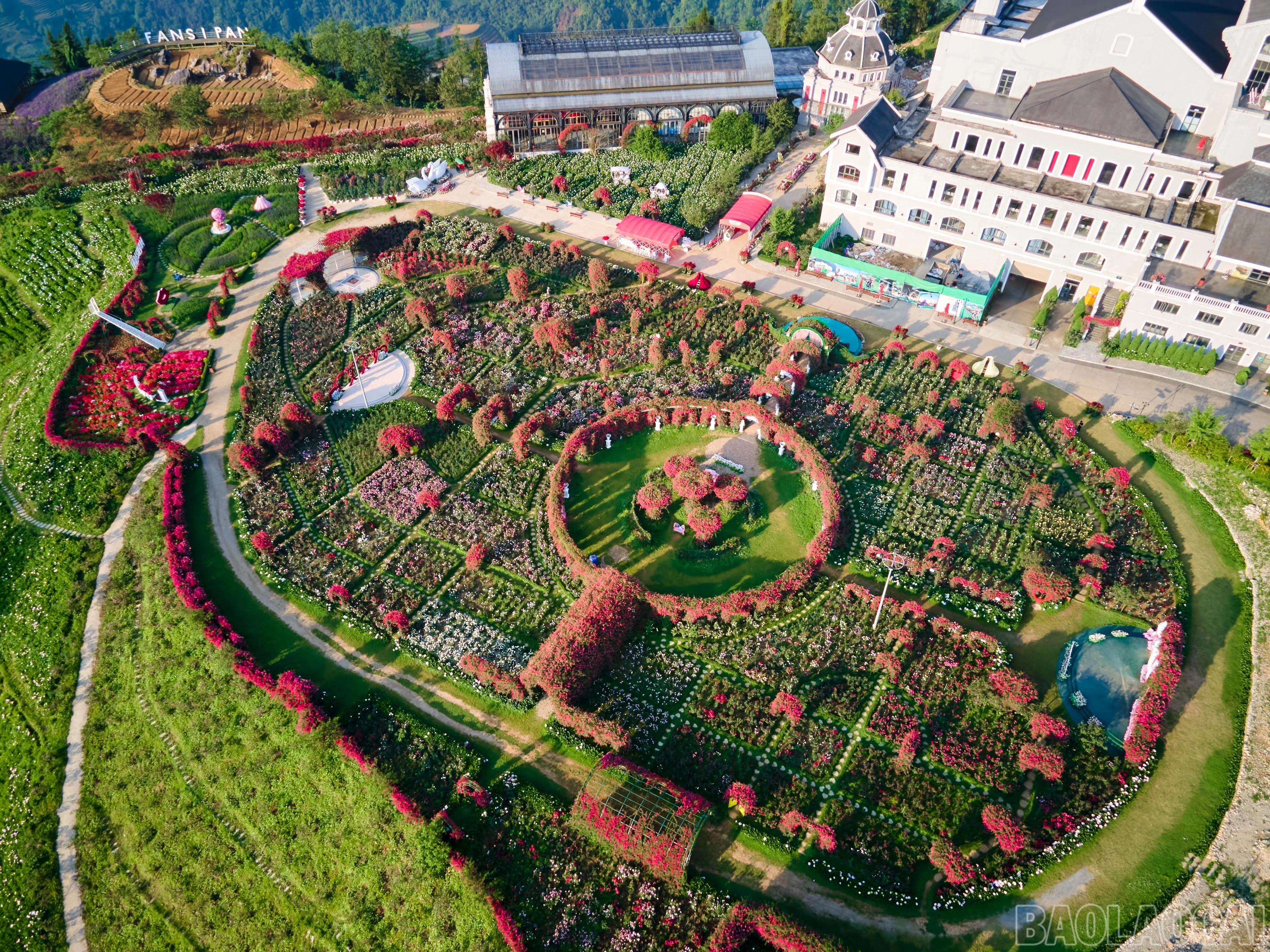 baolaocai-br_dji-0507.jpg