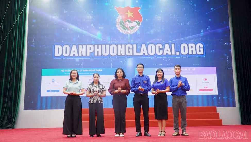 baolaocai-br_2026-07-06-121432.png