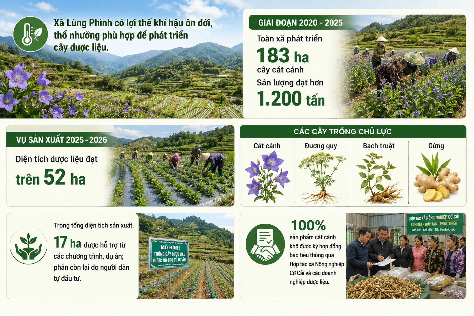 chatgpt-image-20-02-29-16-thg-6-2026.png