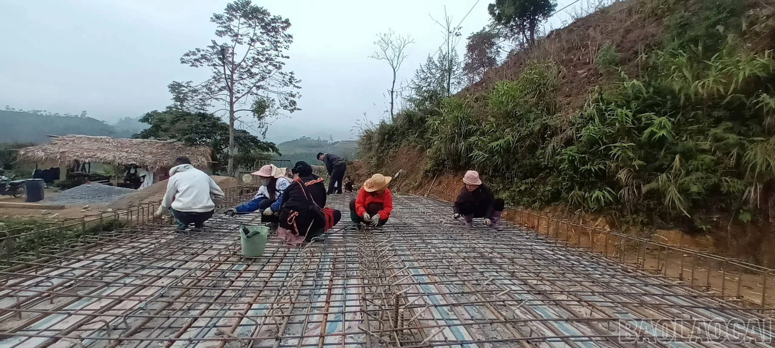 baolaocai-br_600252720-855372120754397-2989001113192460876-n.jpg