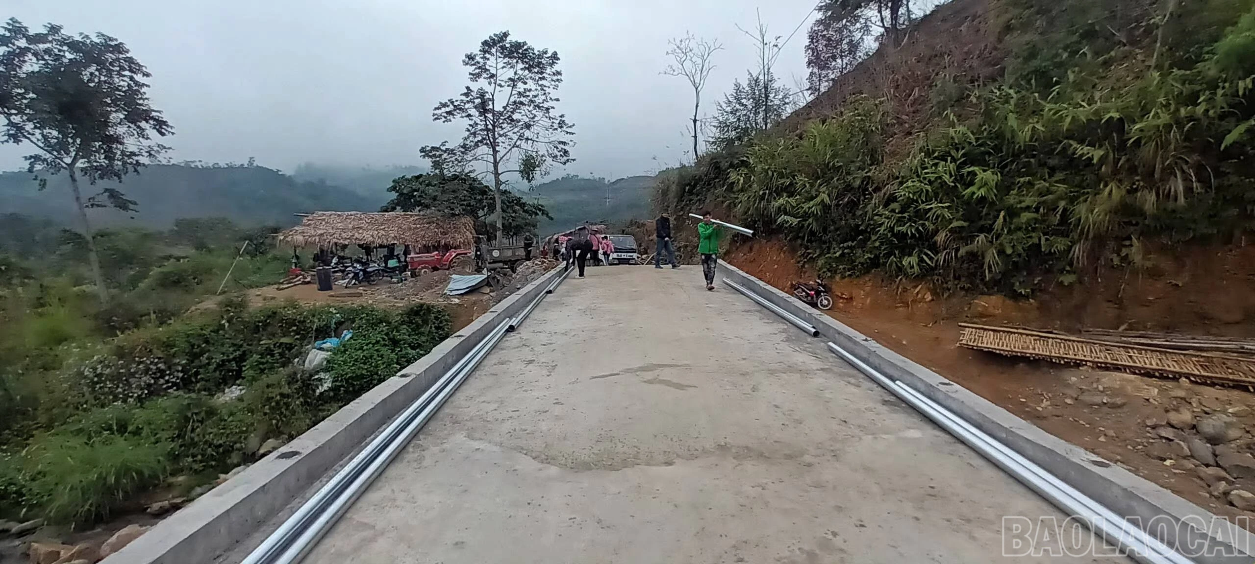 baolaocai-br_610882643-868173546140921-5285581481387745225-n.jpg