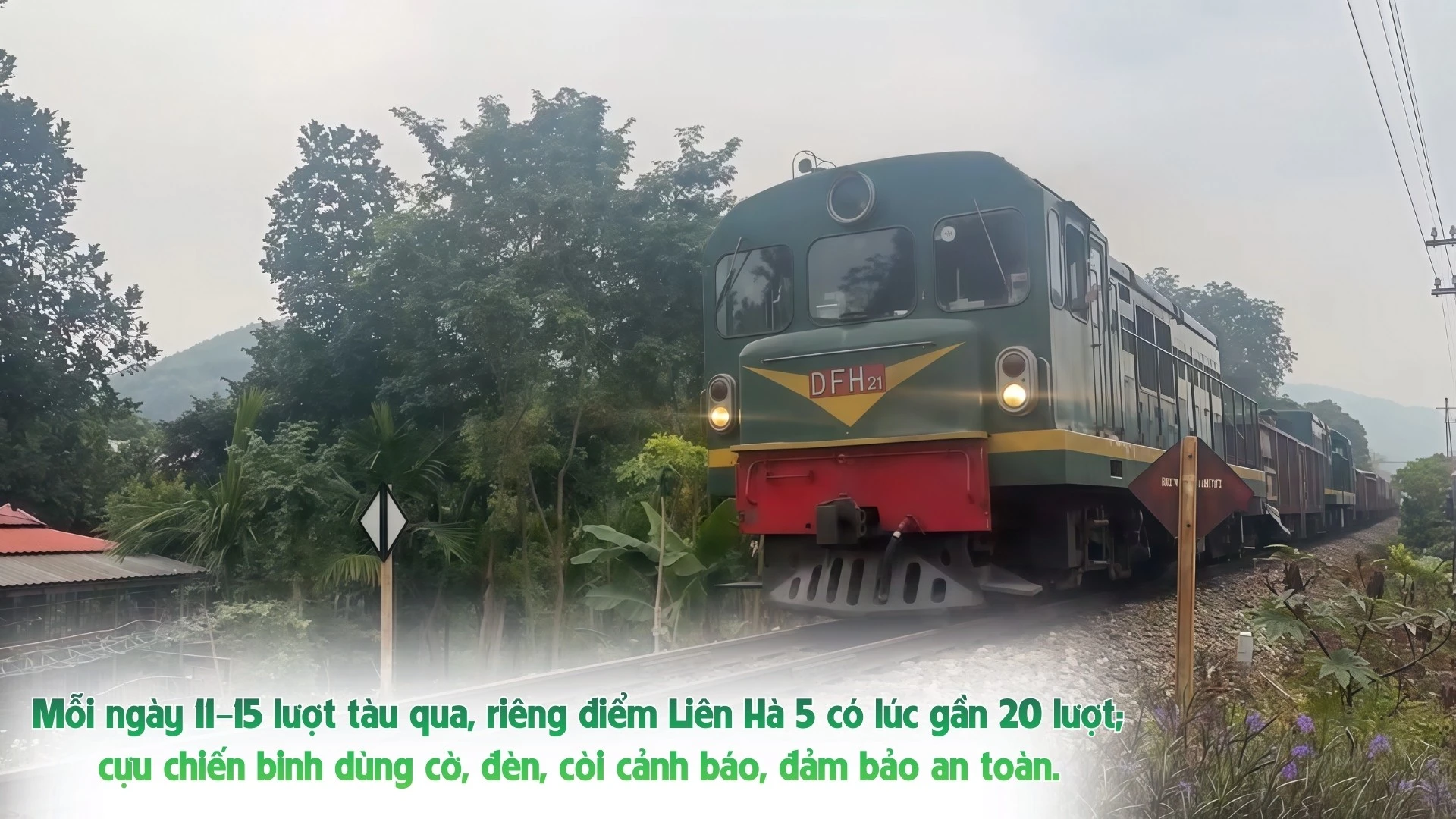 xanh-muot-cao-nguyen-59.jpg