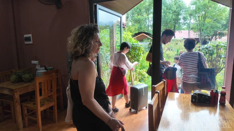 baolaocai-br_2026-08-29-224121.png