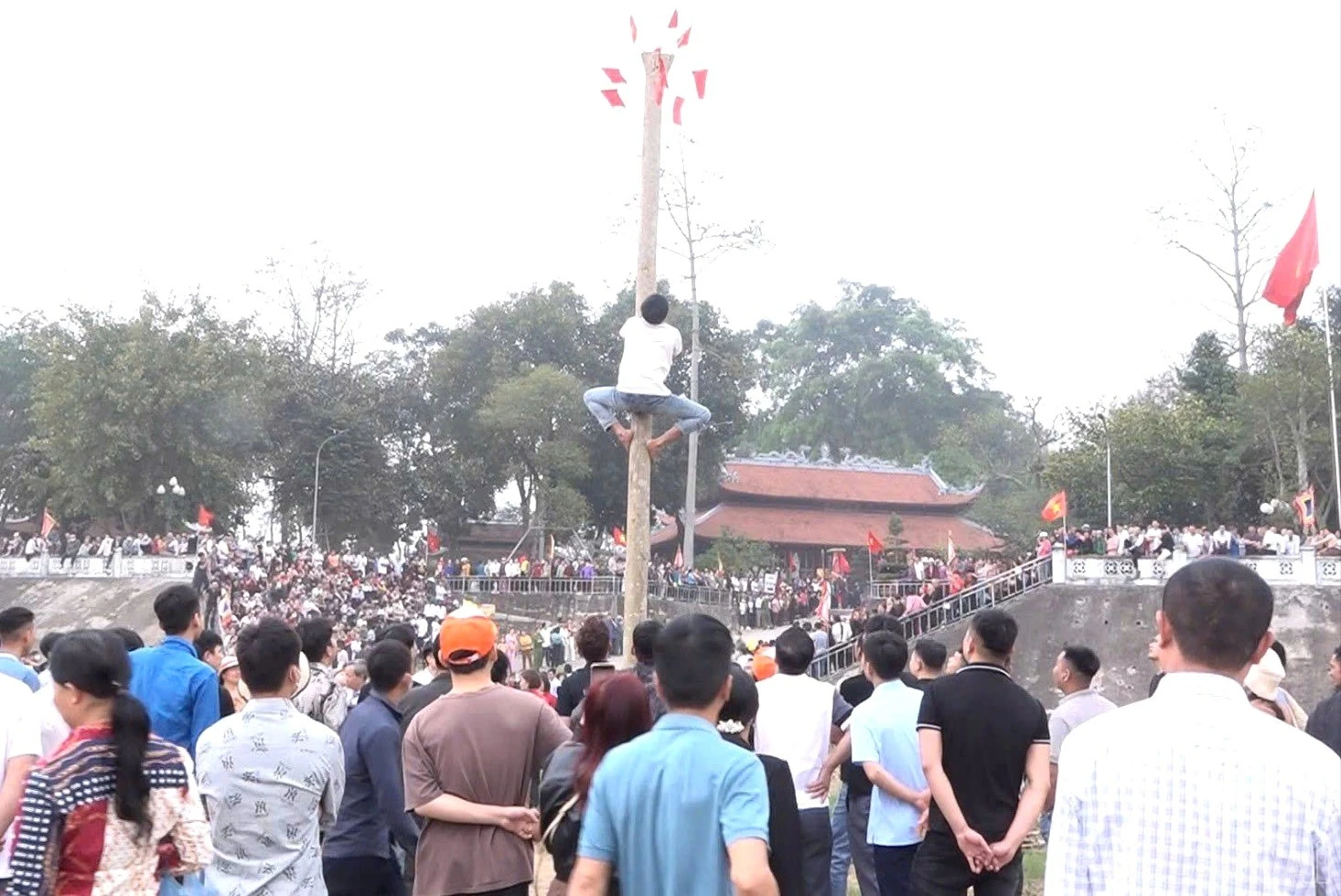 baolaocai-br_z7510266931070-f01f1003d77a7d8e447d21284529a8cc-8944.jpg