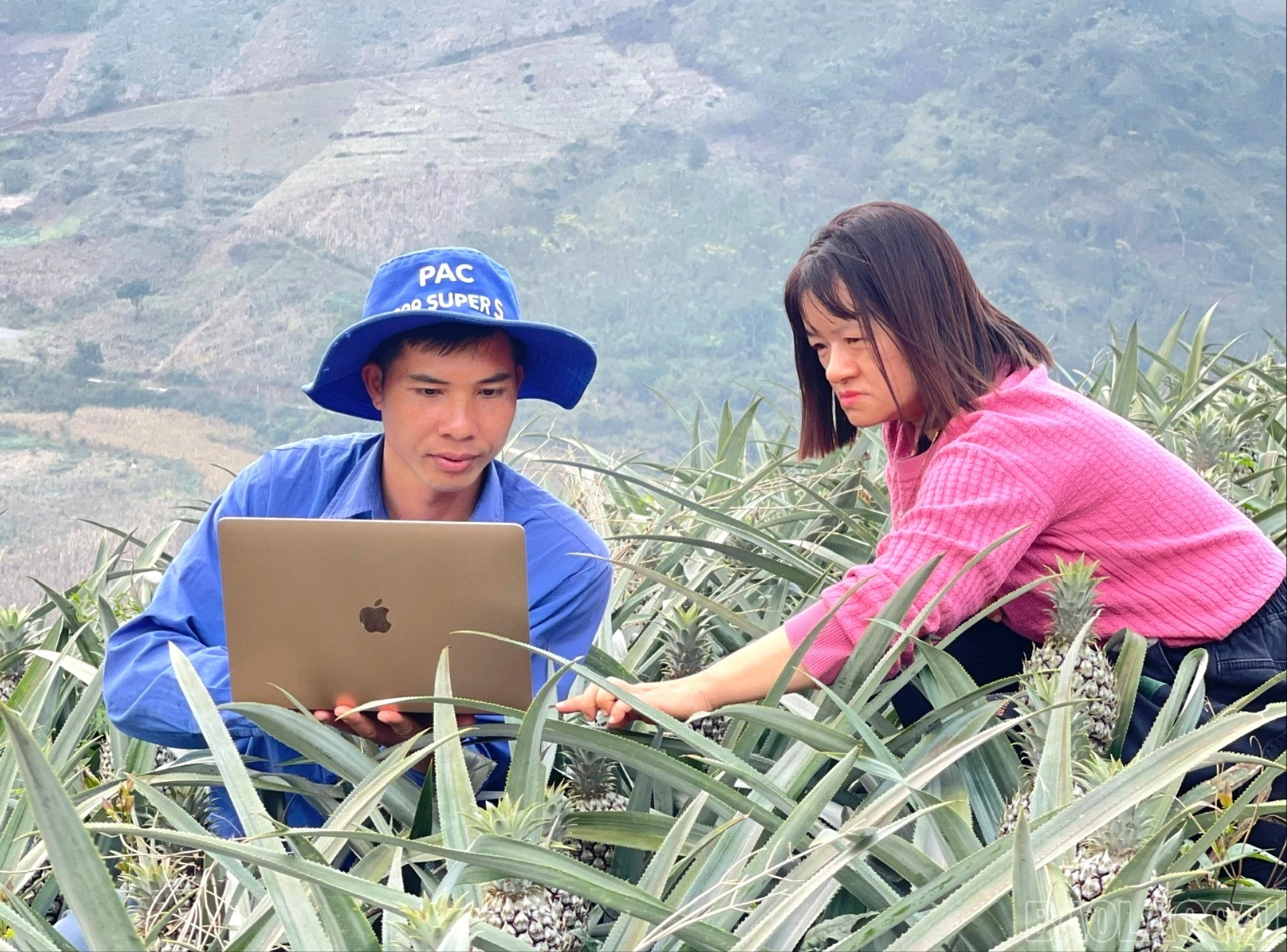 baolaocai-br_z7521279751946-ee991088b1711a22400671508d613f79-7510.jpg