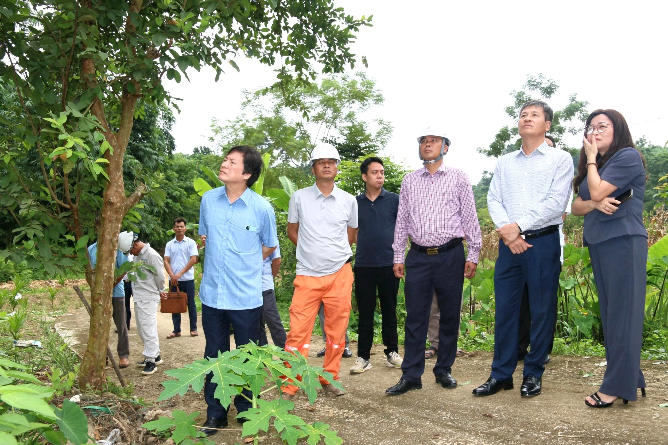 anh-hao-thon-lang-ray-xa-cam-nhan-4894.jpg