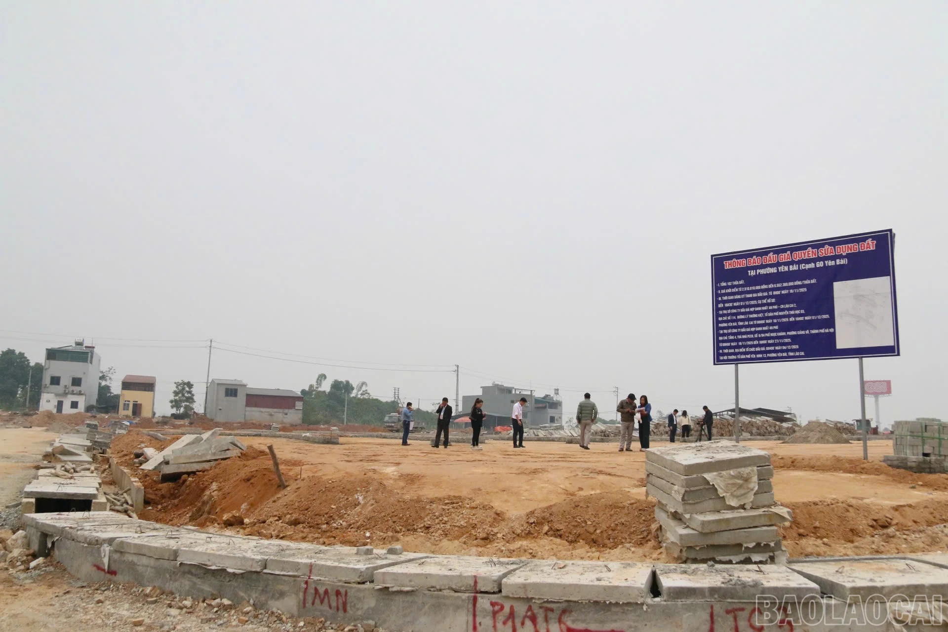 baolaocai-br_z7294975940660-f06b54b875fb3414648835ecdb2b9b1d.jpg