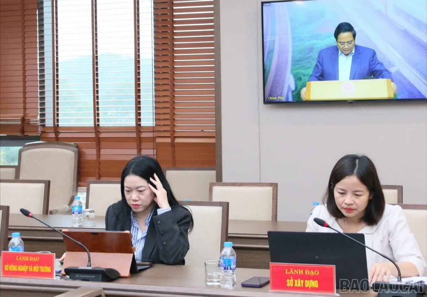 baolaocai-br_z7487006240384-f221a4c02f75ce15ad768d4a6ef46227-3588.jpg
