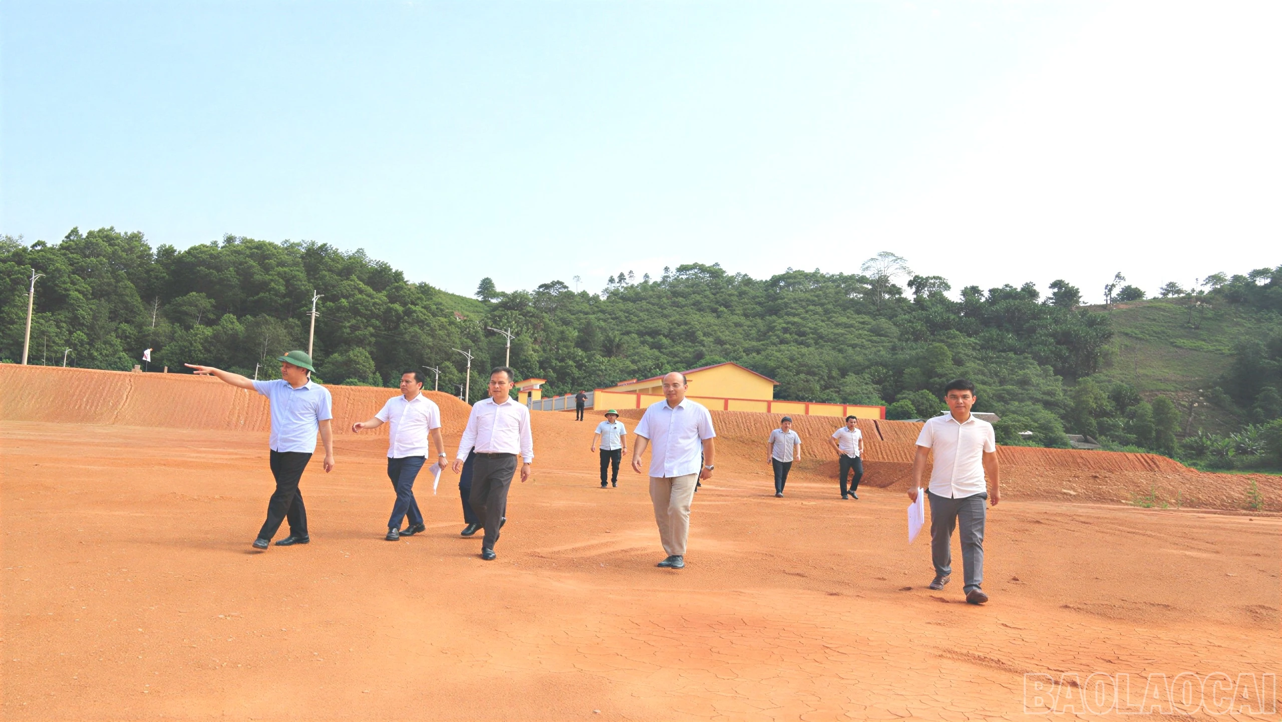 baolaocai-br_z7874079891903-db5312f28c9f7f8367ac2235a3c71b36-7906.jpg