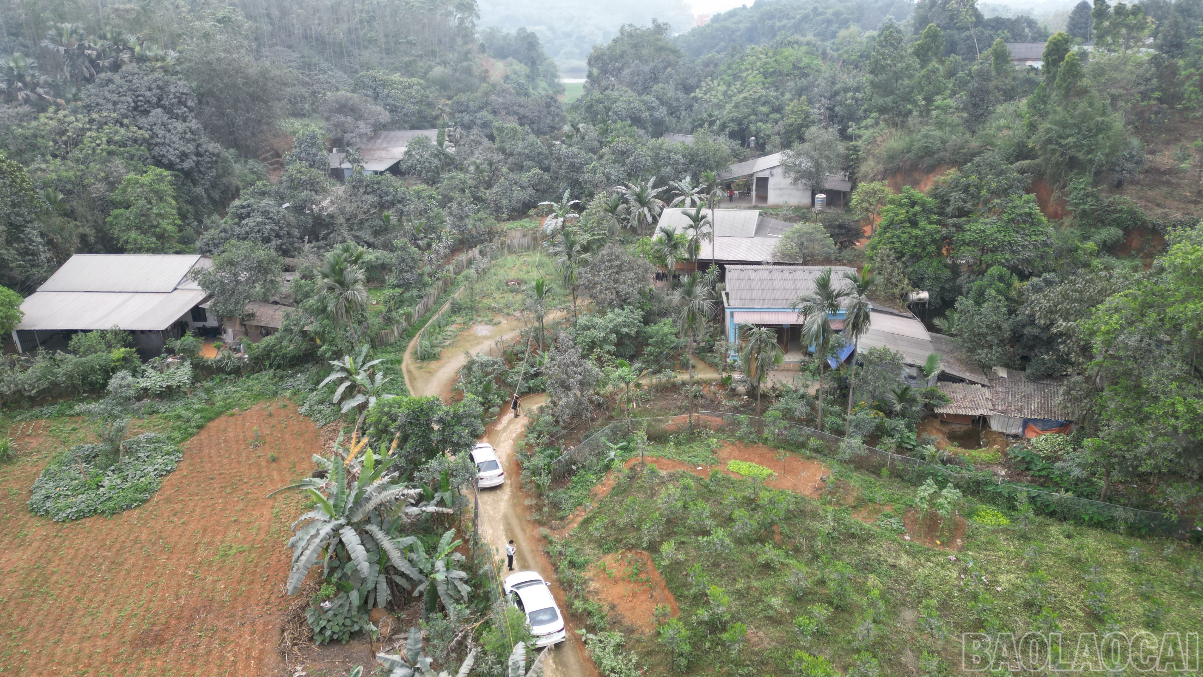 baolaocai-br_anh-1-3929.png