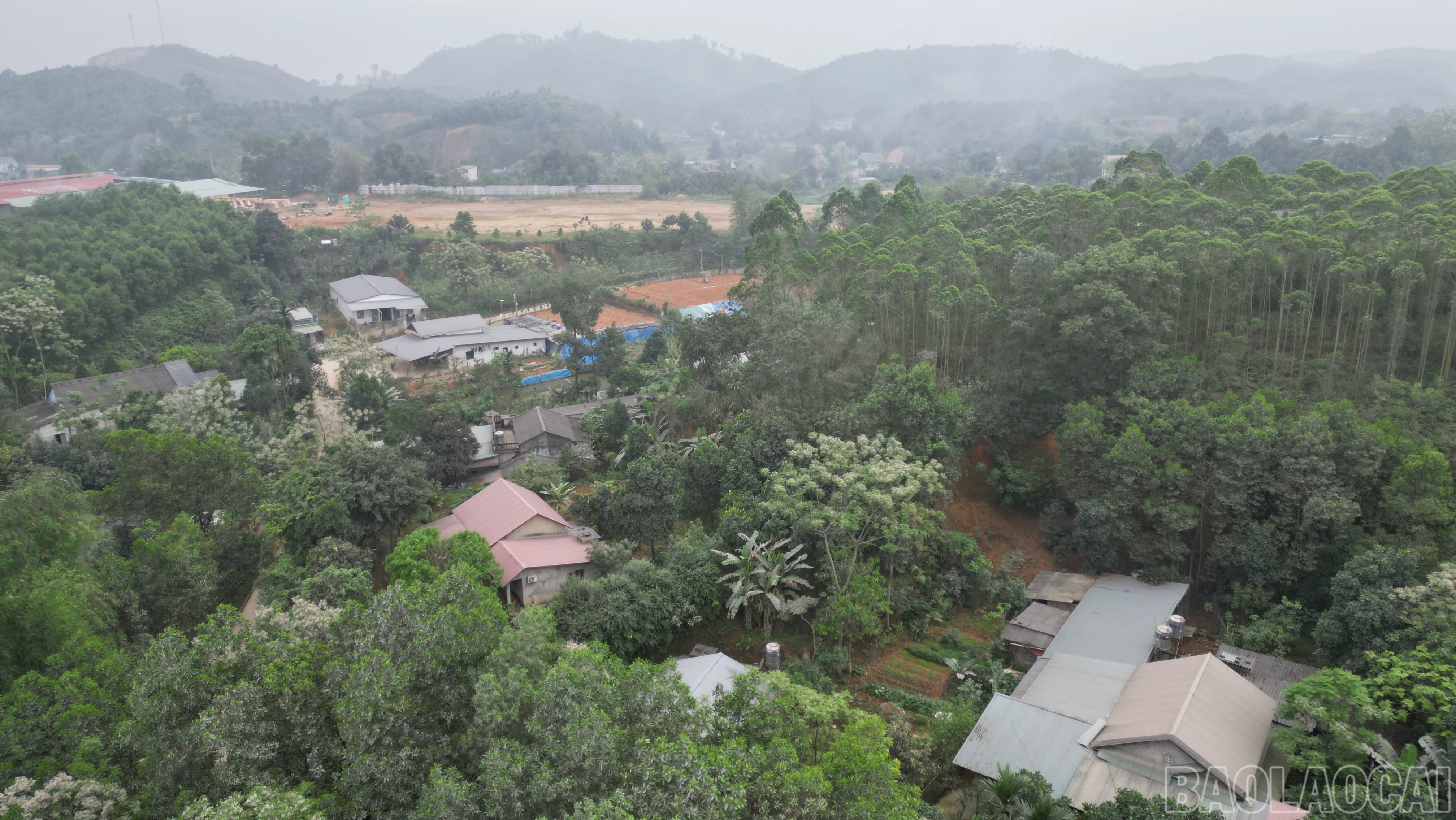 baolaocai-br_anh-2-8808.png