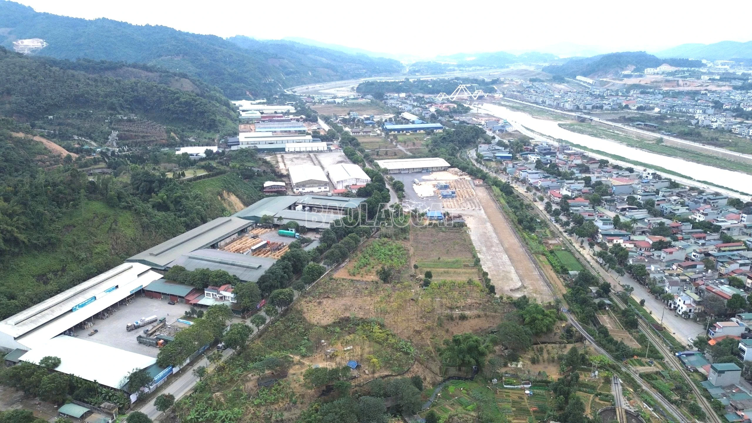 baolaocai-c_z7423336601862-ae57693ddc3798b4b7f2177cac574118-4399.jpg