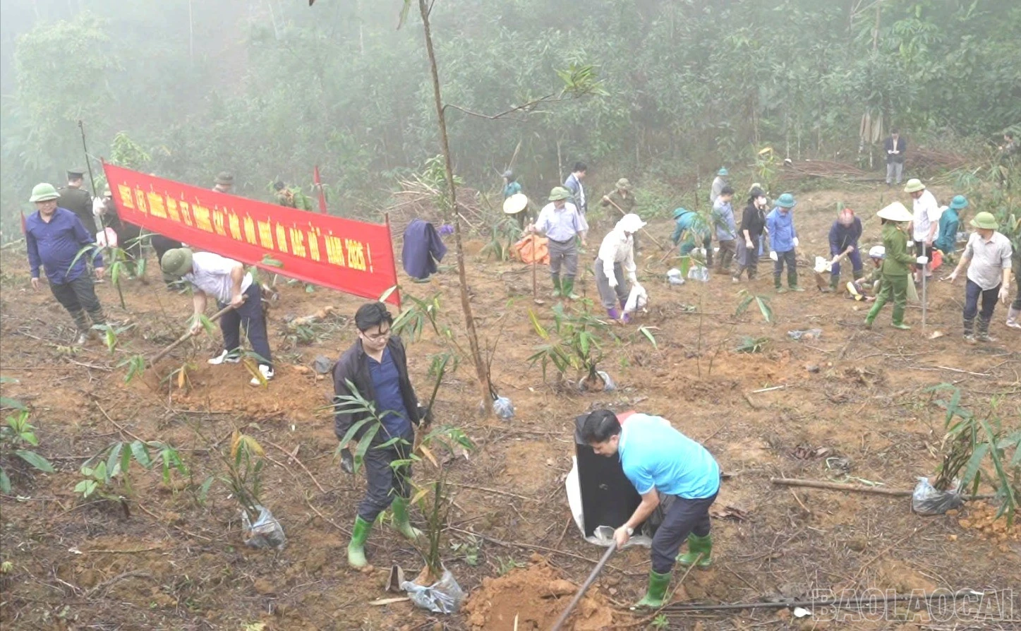 baolaocai-br_z7561871458200-9cbd81c638216501683a4b4b1d8aa3c3-480.jpg
