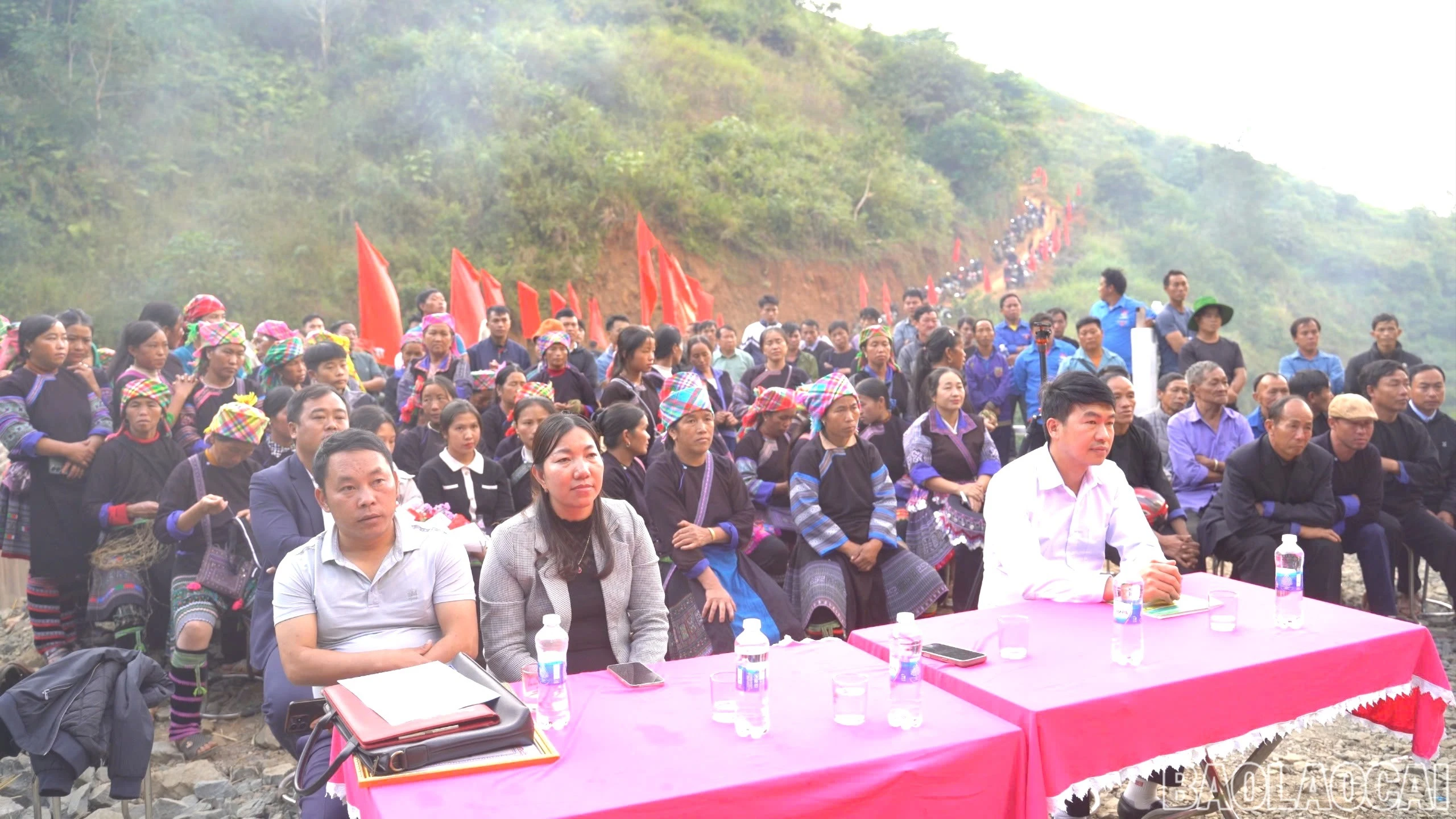 baolaocai-br-z7224389179311-a6b12410c994360459759ea60df73684.jpg