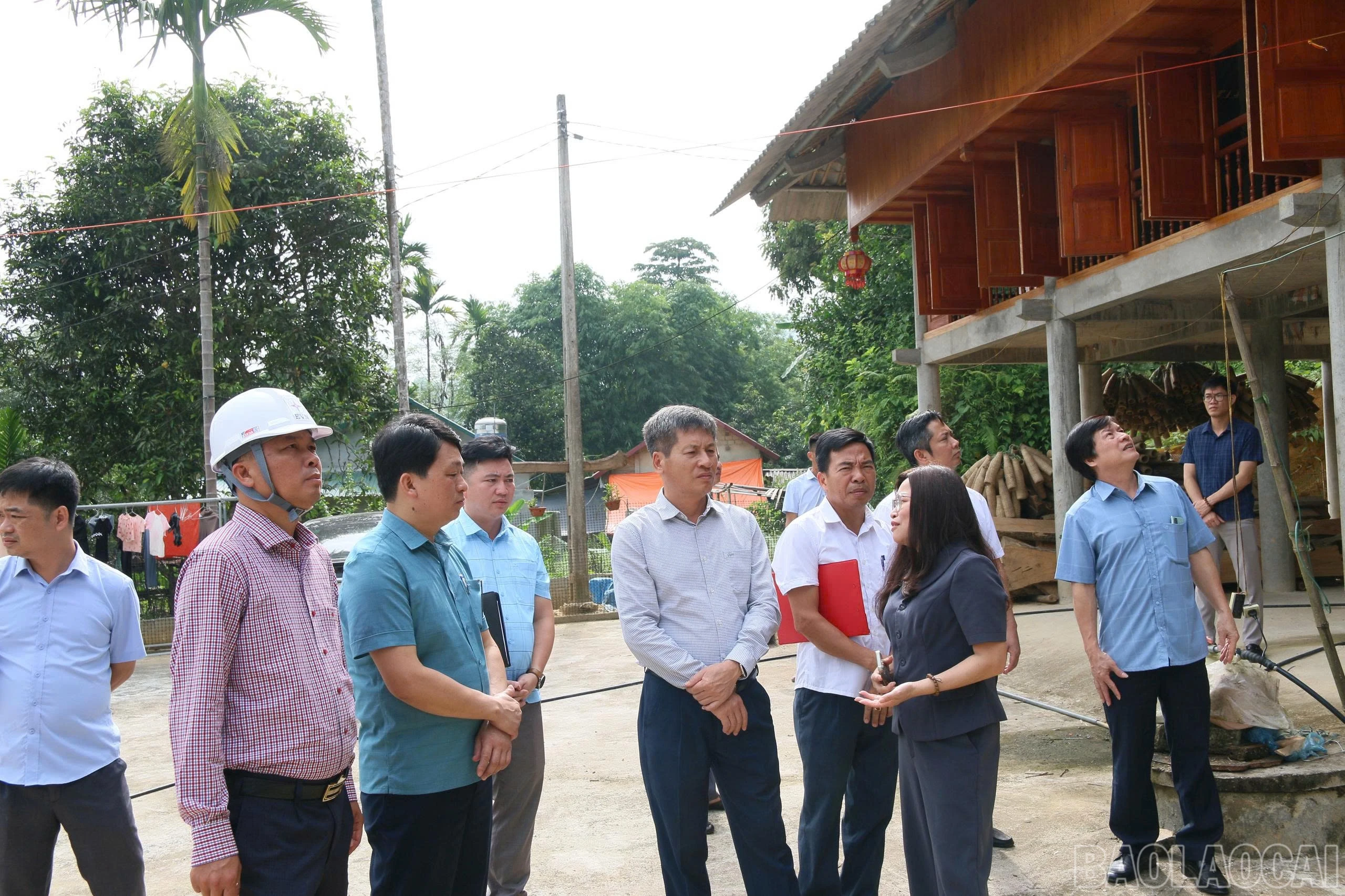 baolaocai-br_anh-cam-nhan.jpg