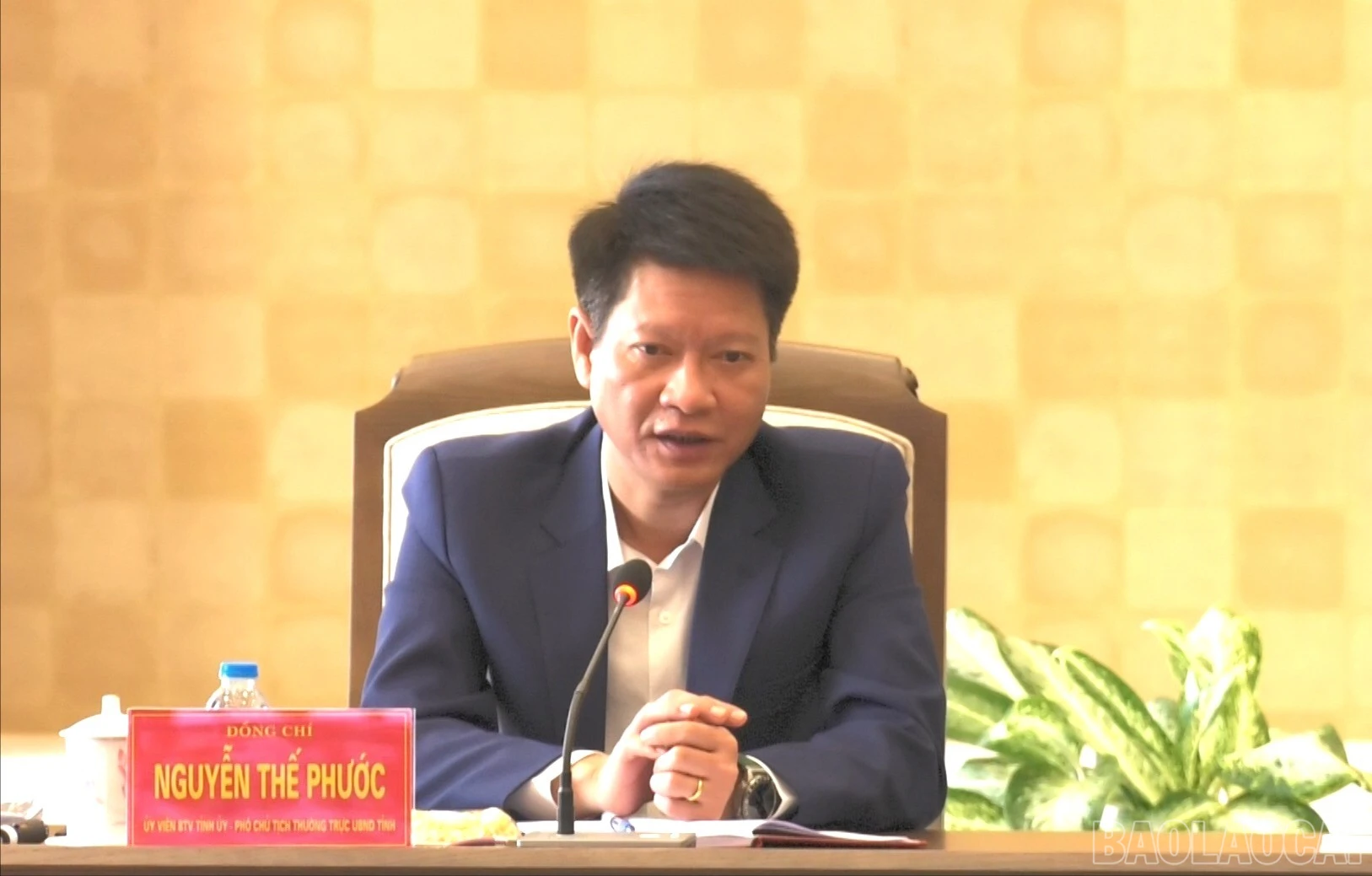 baolaocai-br_a-phuoc-4532.jpg