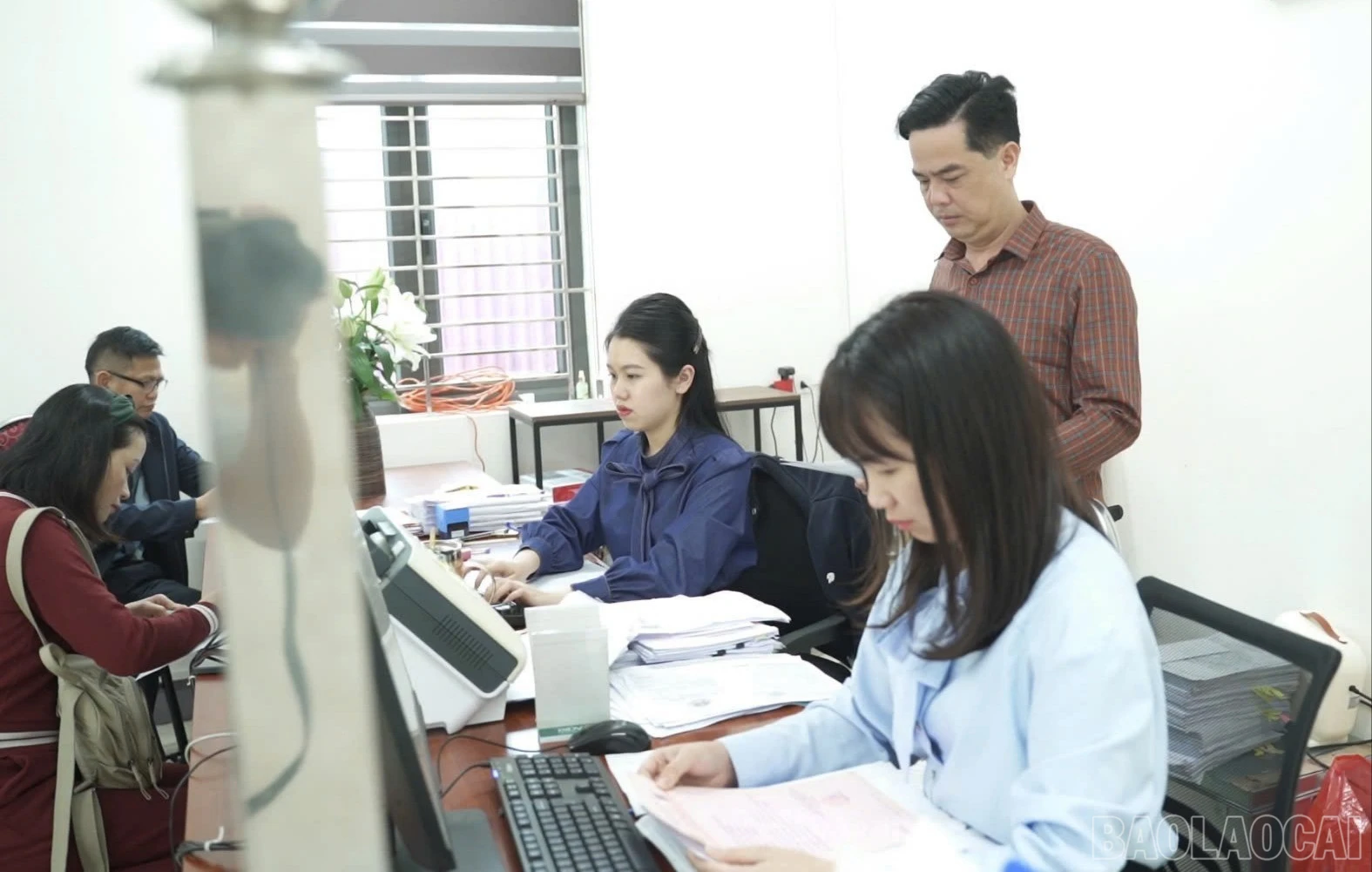 baolaocai-br_z7648339281107-8d54c76698d8d08d7ee38ed811960e94-2437.jpg