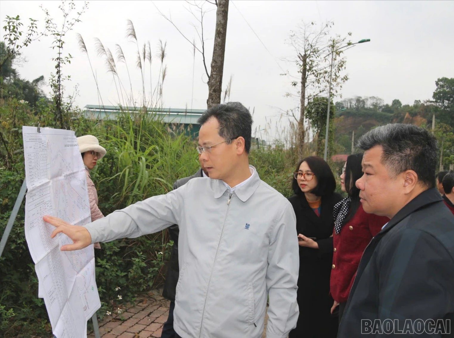 baolaocai-br_z7460787664939-060c229624617a14c58867b43a524920-410.jpg