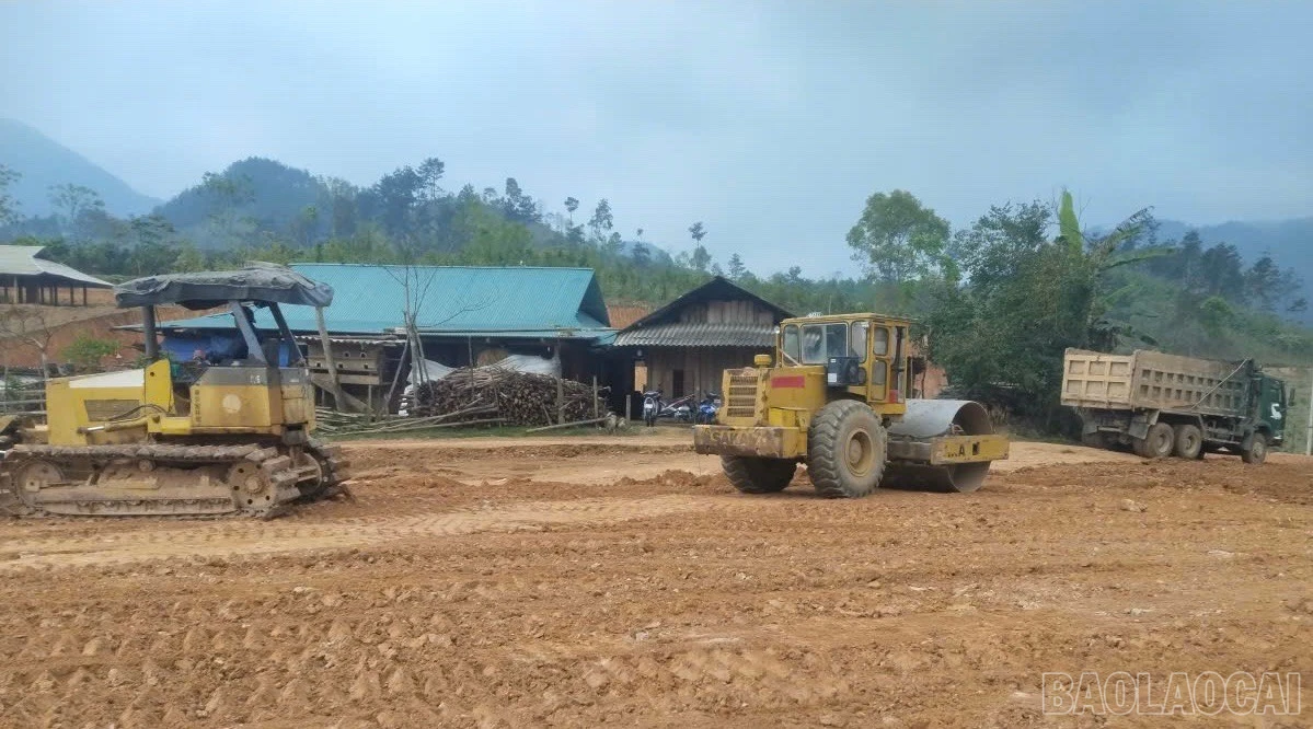 baolaocai-br_z7630270687182-cfb97959977b4b3fb108f1118926c0a1.jpg