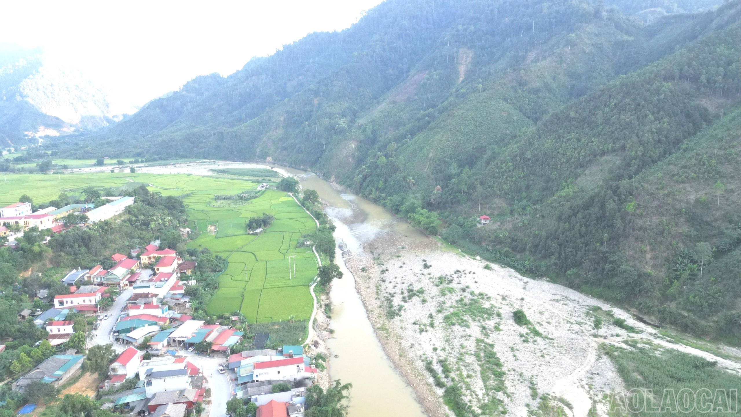 baolaocai-br_z7831382389635-d6f22137de32e4c08d3507f557d69c51-7324.jpg