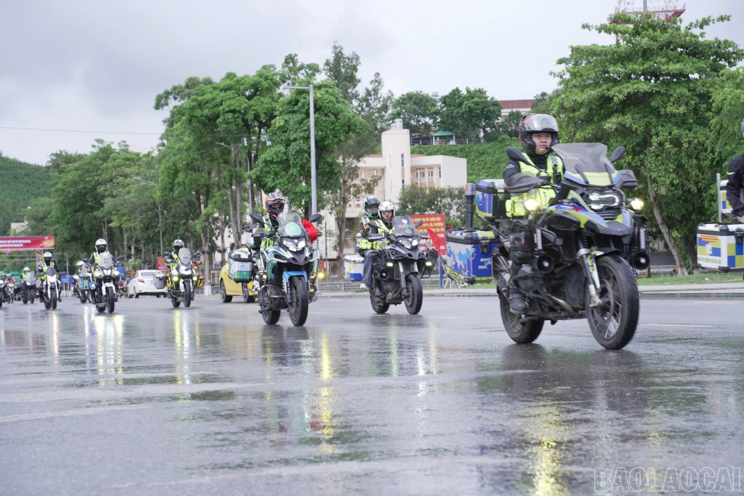 baolaocai-br_z7981008034906-fec9d6c794f86fe08656cf0152ffaae4.jpg