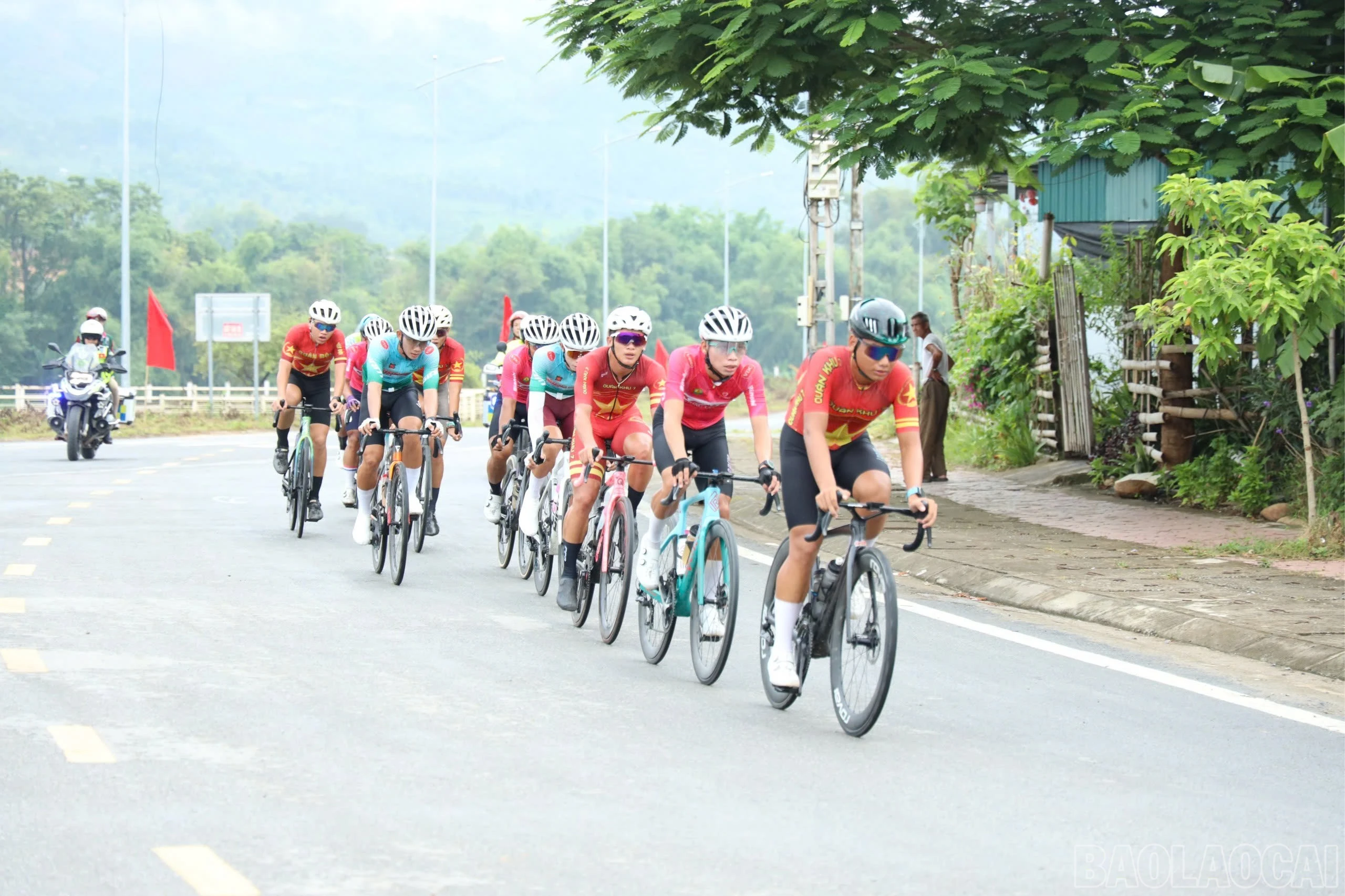 baolaocai-br_z7992598914445-282a139b2a24ae65b11b0e0c5b637683-363.jpg