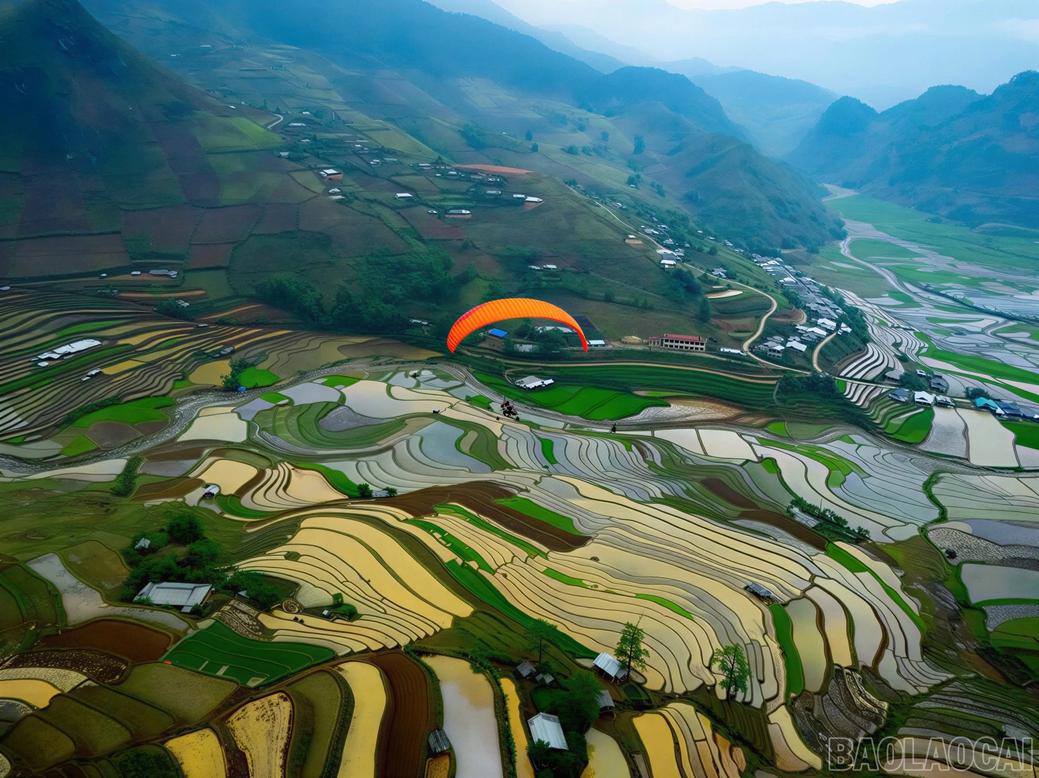 baolaocai-br_z7826400485315-0e7c6b06ca6fc0ec642fcefc03eb4d9c-7684.jpg