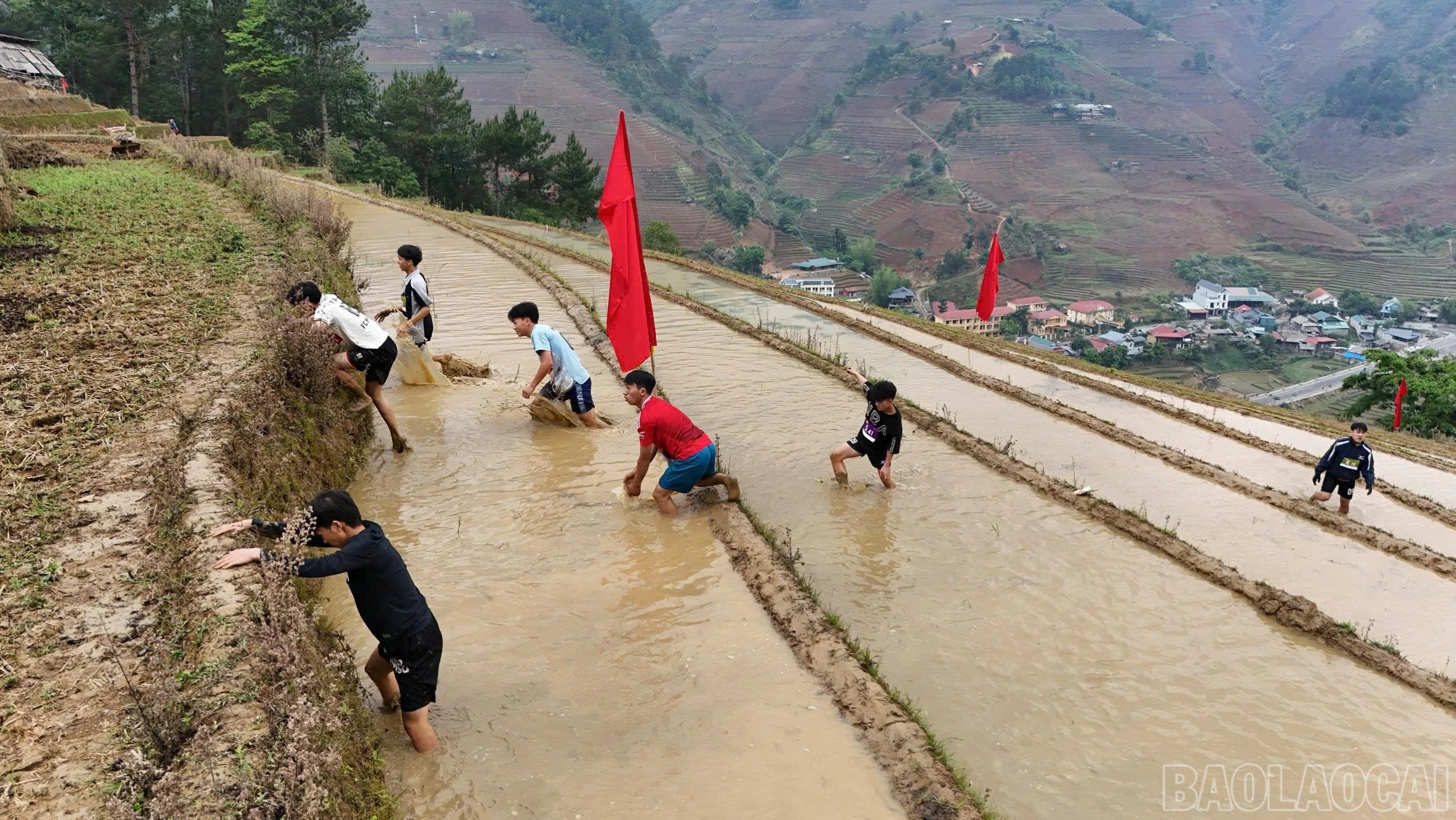 baolaocai-br_a5-9514.jpg