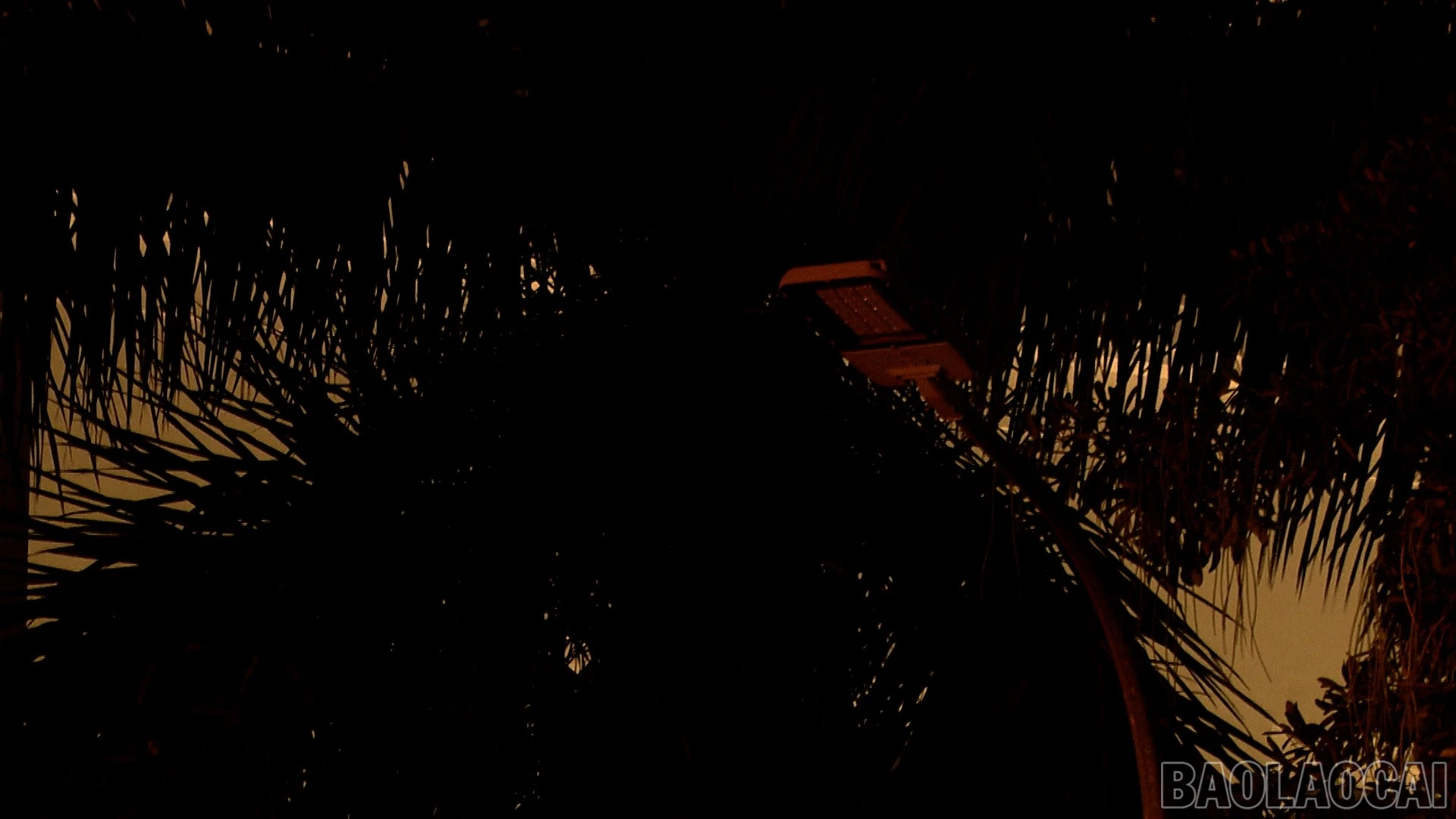 baolaocai-br_sequence-0100-12-51-09still007.jpg