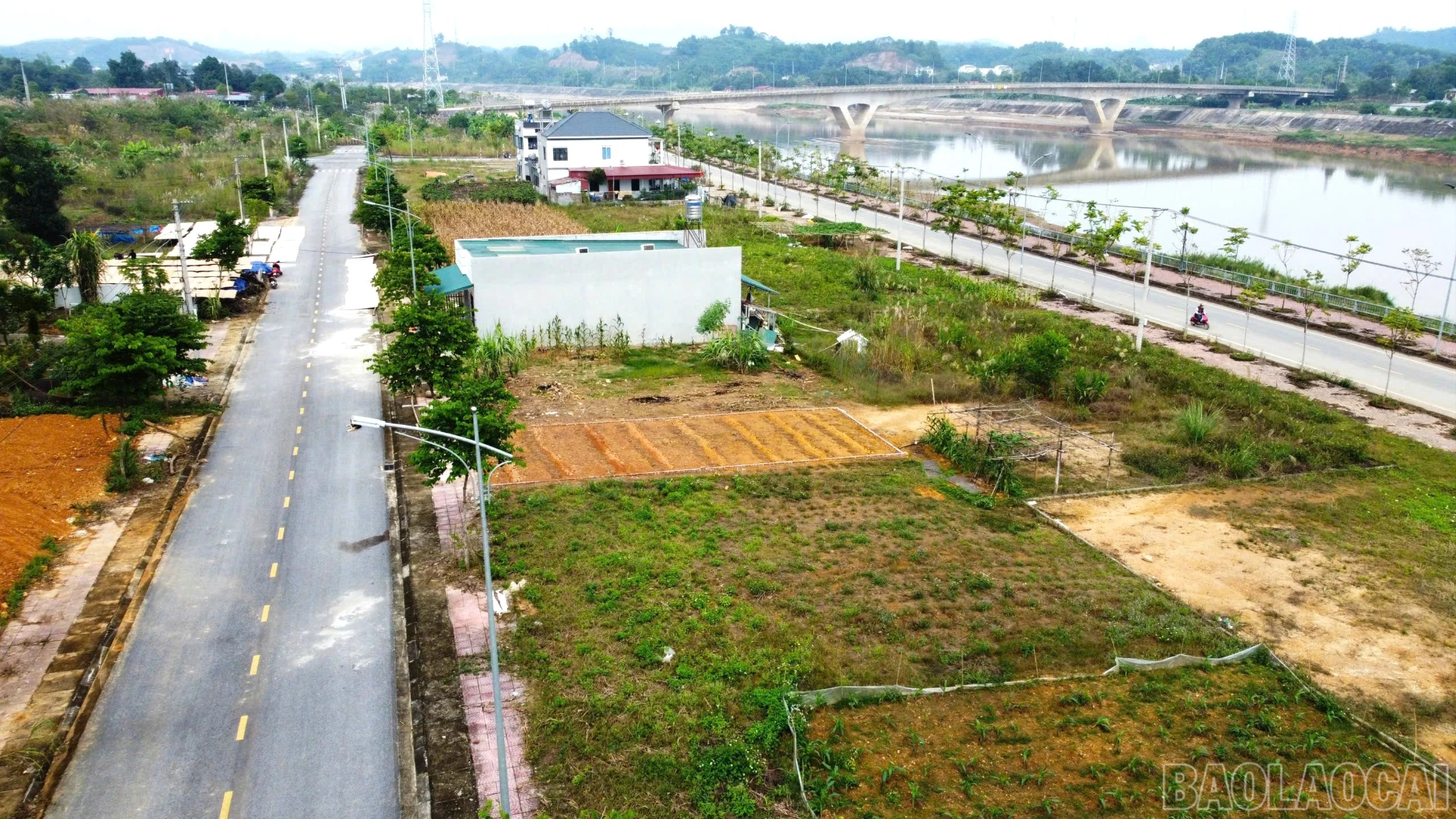 baolaocai-br_z7322338512822-39be7b54528c60c0fc45619bf8107348-7906.jpg