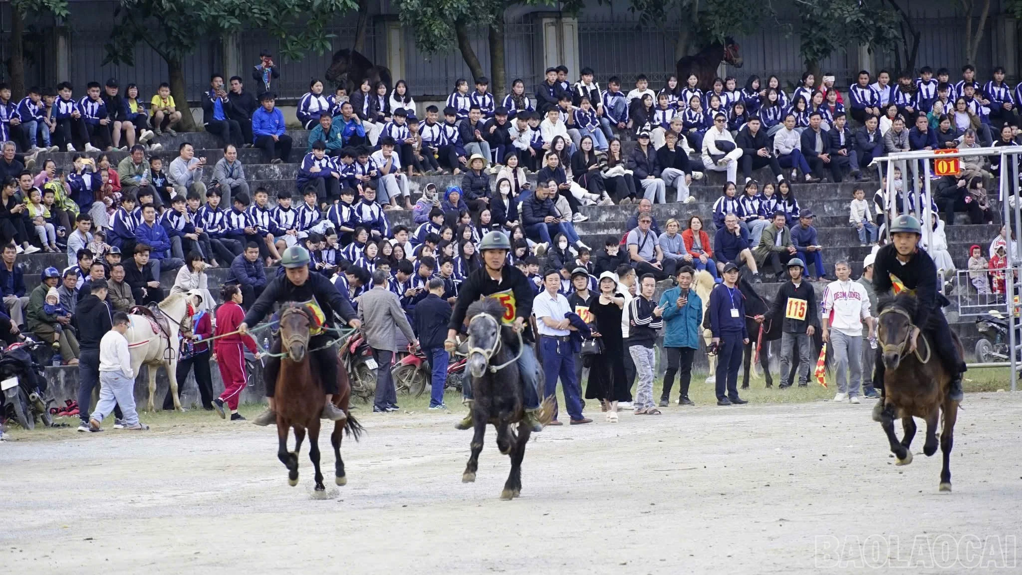 baolaocai-br_z7323454298834-9e6159676434f2c5e69cf59fe7bcdd4b.jpg