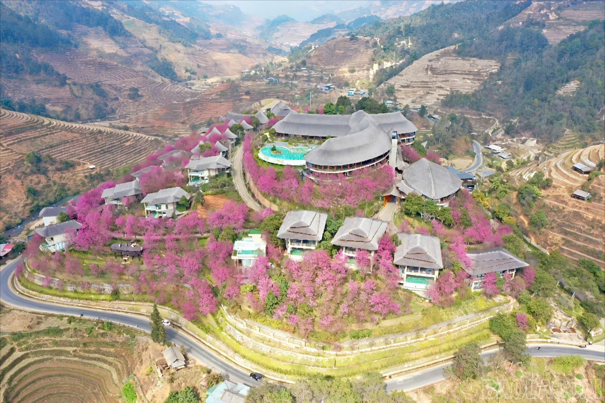 baolaocai-br_z7323454321821-dd10739c91fe7033724b04d458b6c34c.jpg