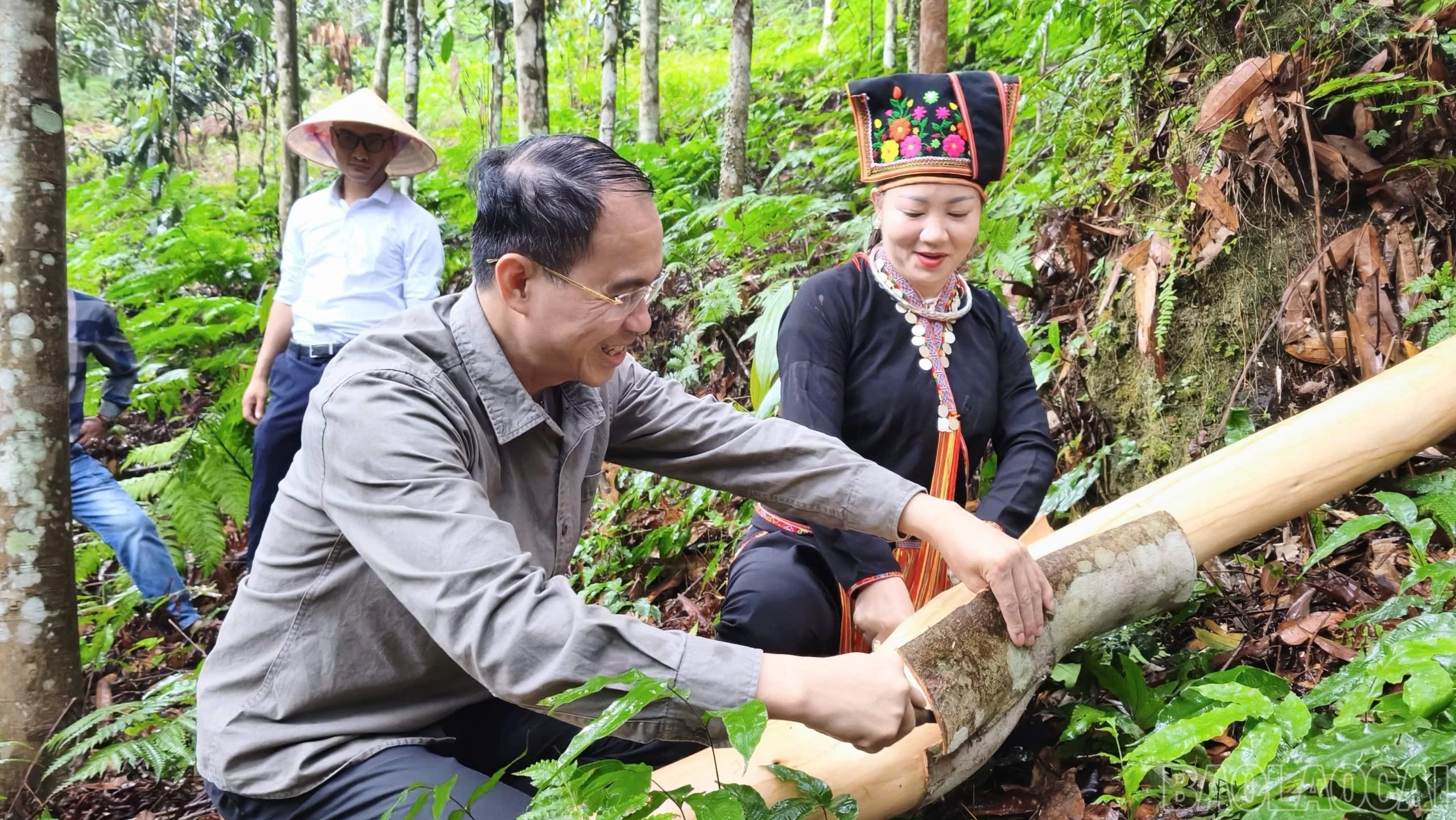 baolaocai-br_z7806710279627-0140408e5605af47ed0de76a56f93674-5953.jpg