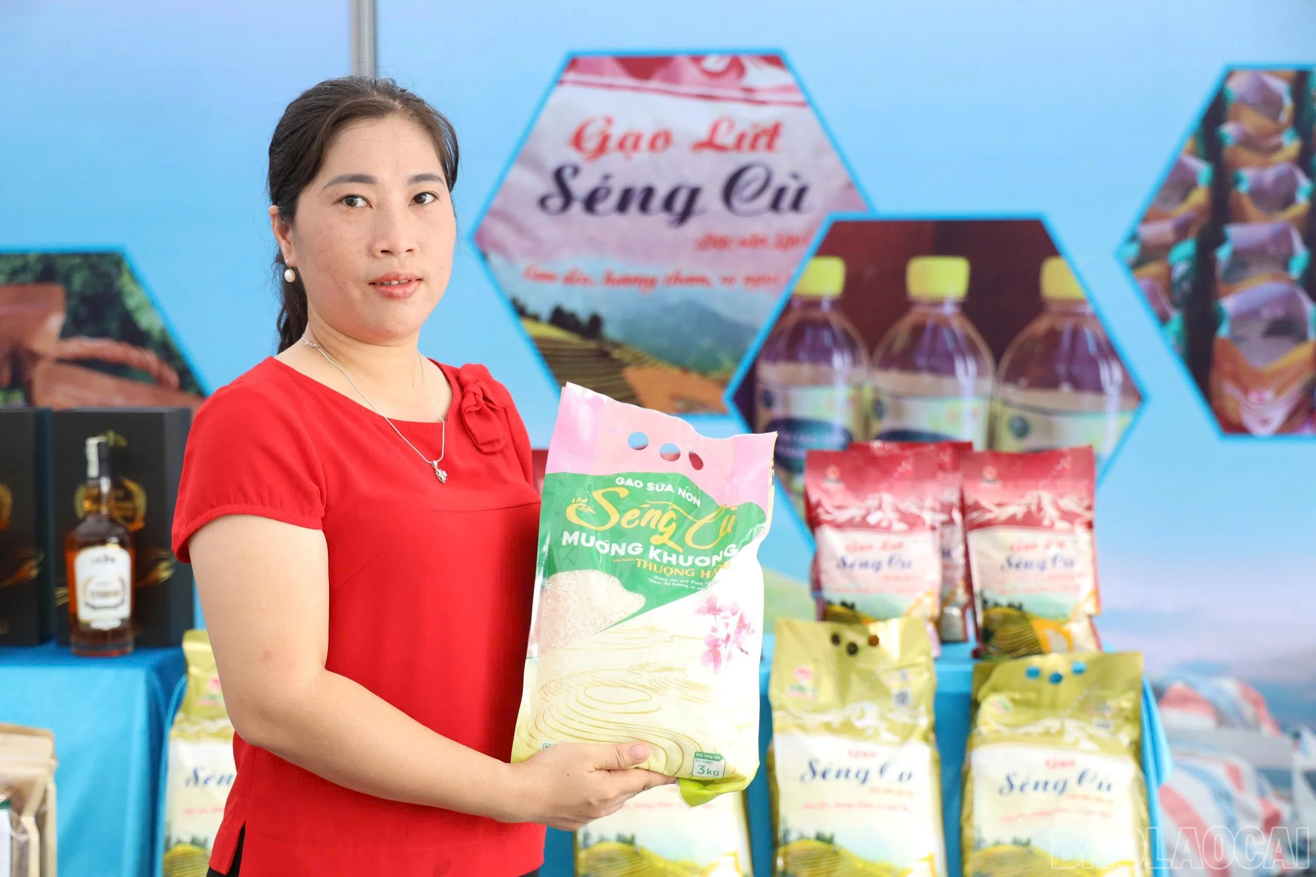 baolaocai-br_z8045052613123-3dace5643f27a4dfc5f98f0d05c8798e.jpg