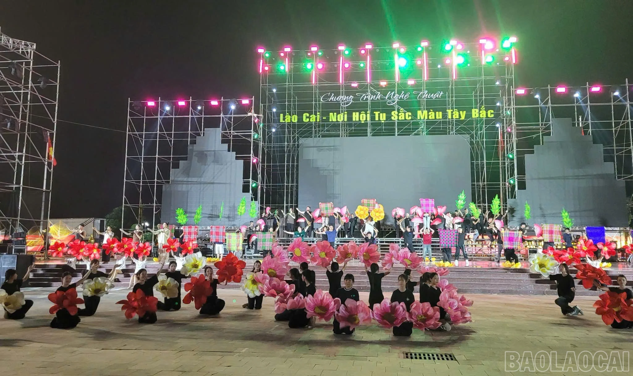baolaocai-br_z8044484150872-0d959ff11ed549c1cdc5af7d631913d0.jpg