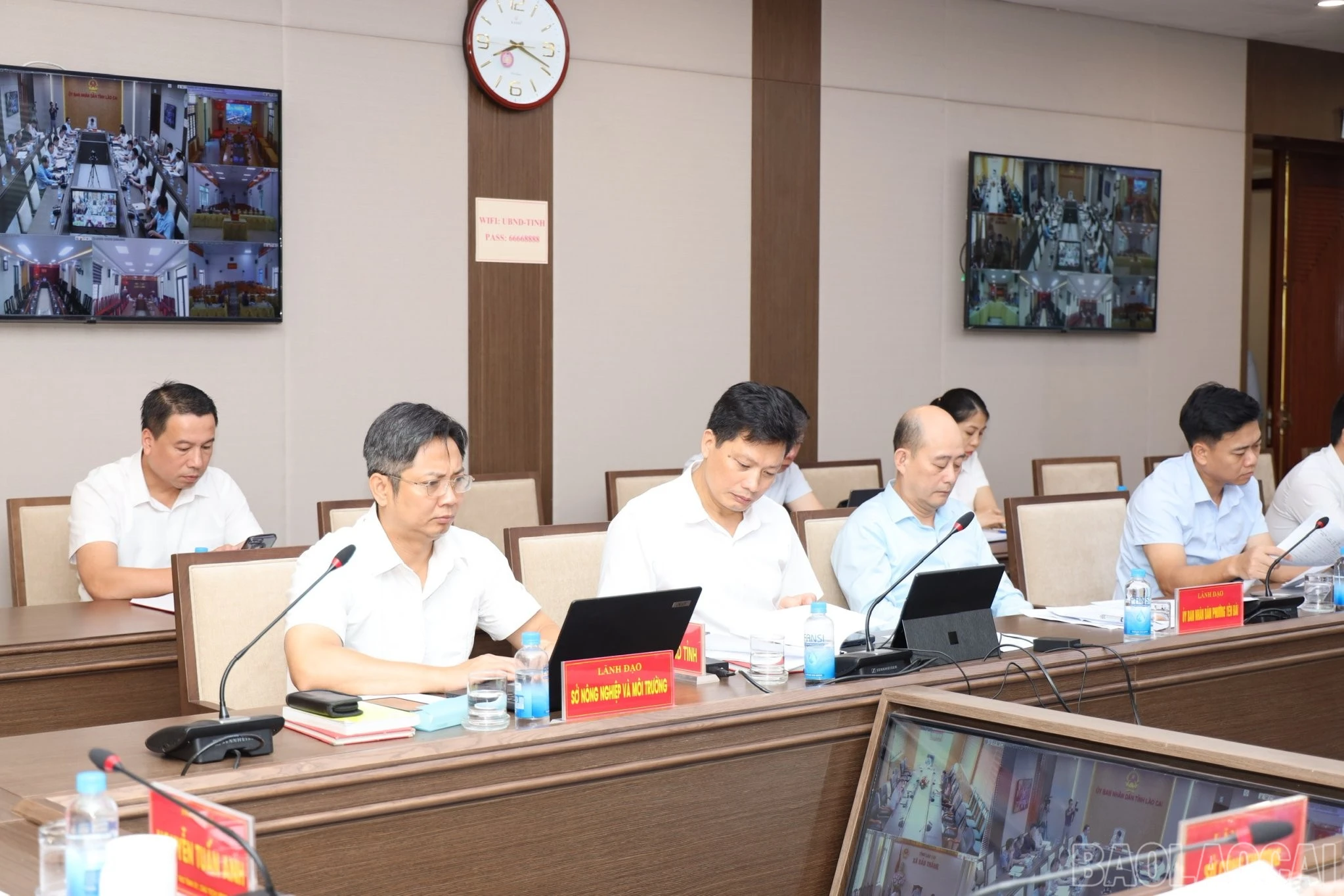 baolaocai-br_z7952885950320-a6023cd09d385b4c7f674e6681332fbe.jpg