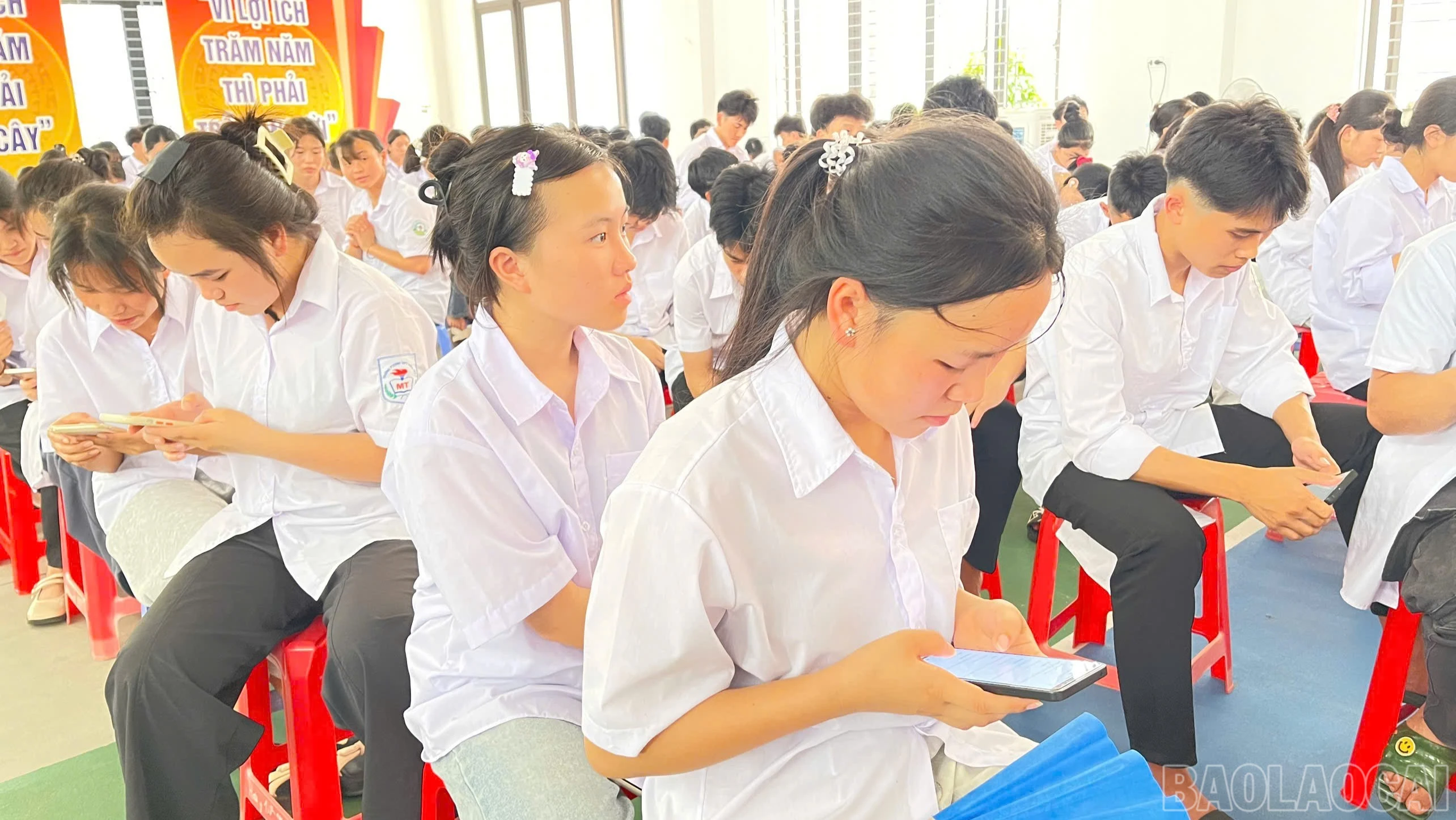baolaocai-br_z7711434820307-0a95b2266d7bf75144dde872c218906d-5482.jpg