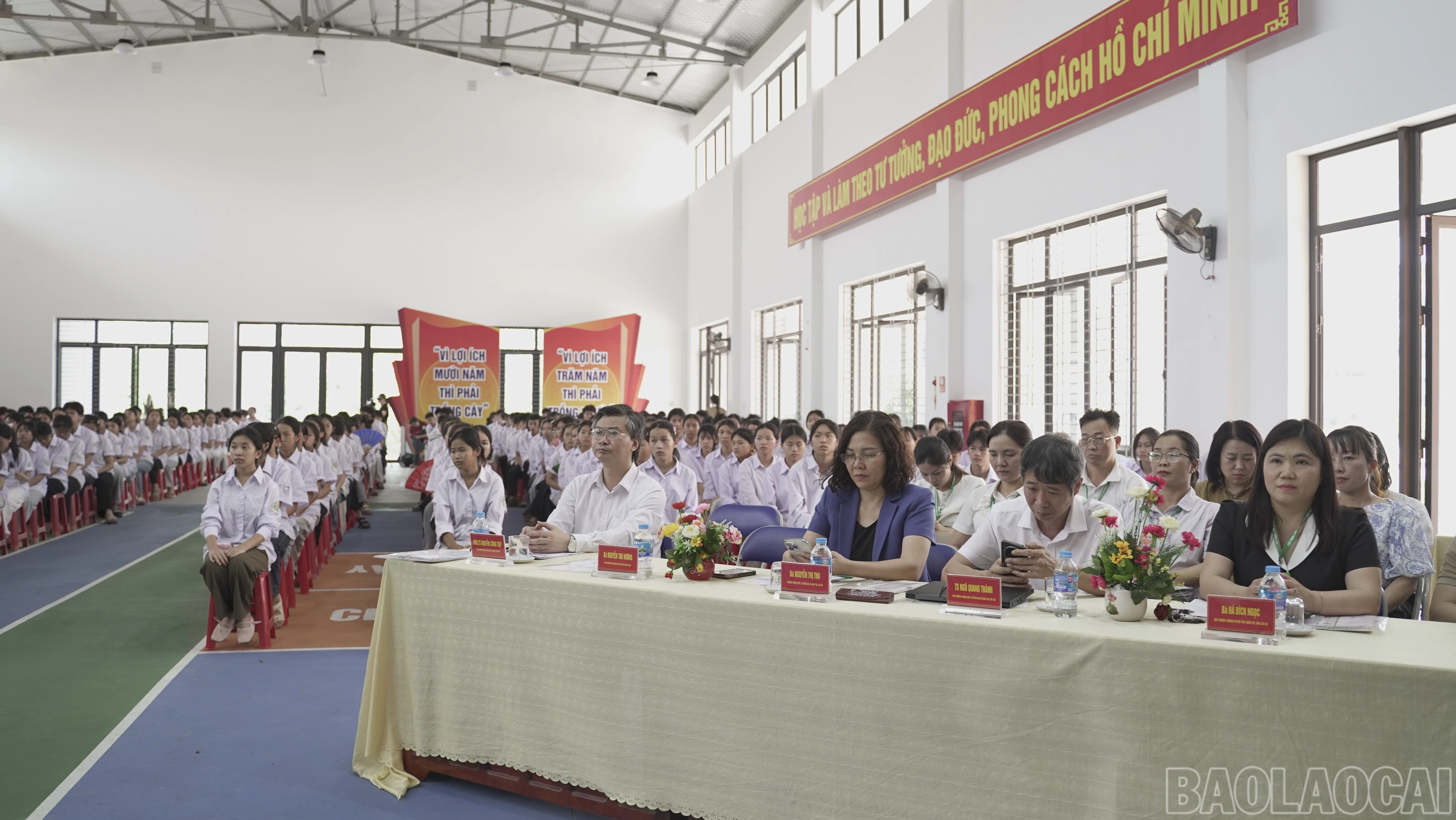baolaocai-br_dsc0482-4965.jpg